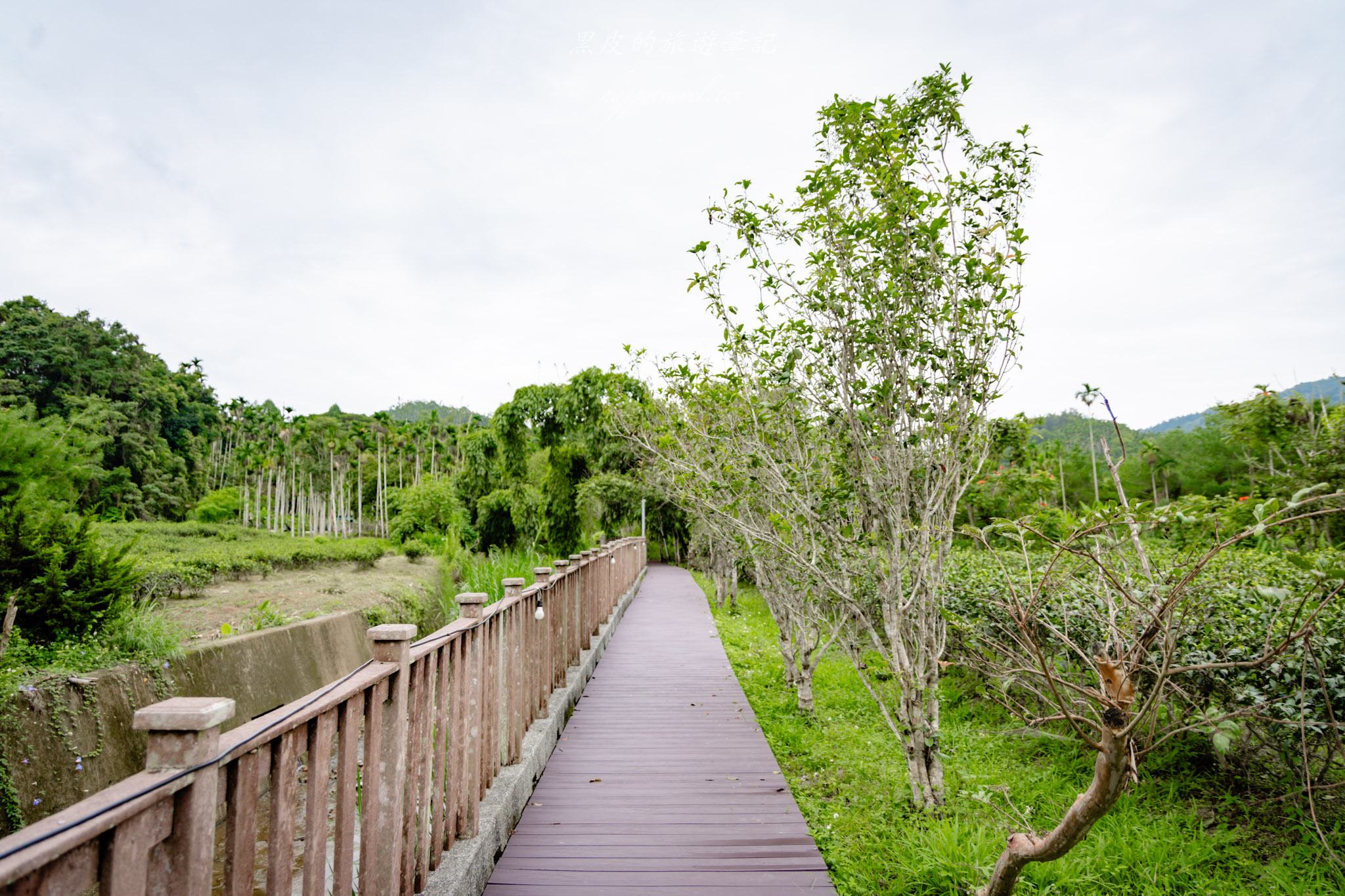 澀水皇茶｜日月潭最多樣好玩的DIY茶園，還有超精緻的日月潭紅茶料理。日月潭親子行程
