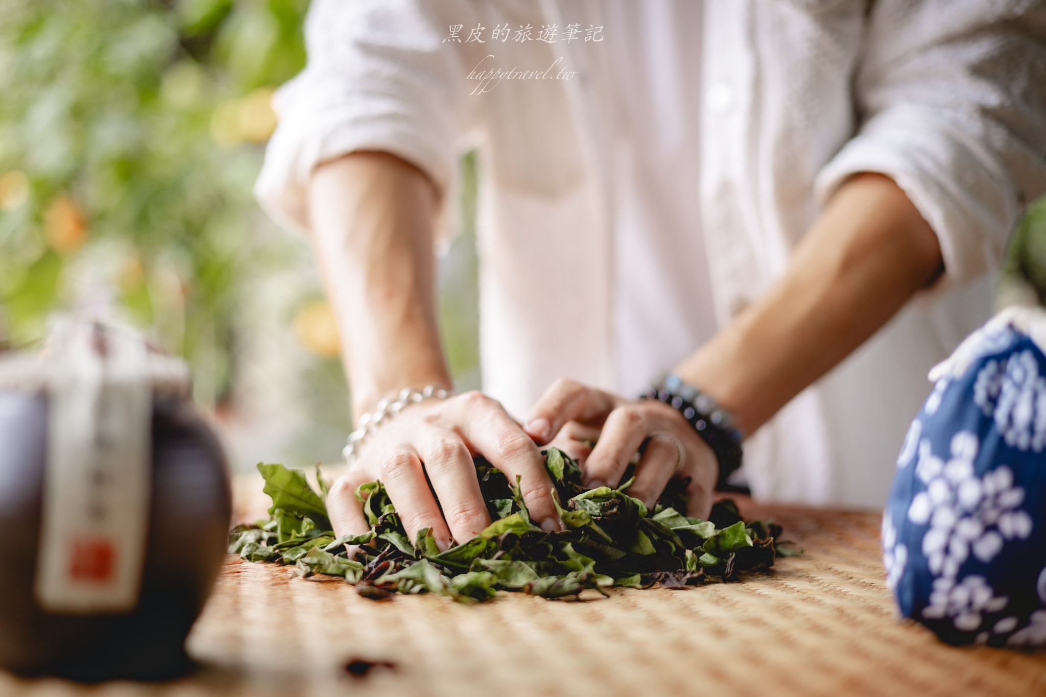 澀水皇茶｜日月潭最多樣好玩的DIY茶園，還有超精緻的日月潭紅茶料理。日月潭親子行程