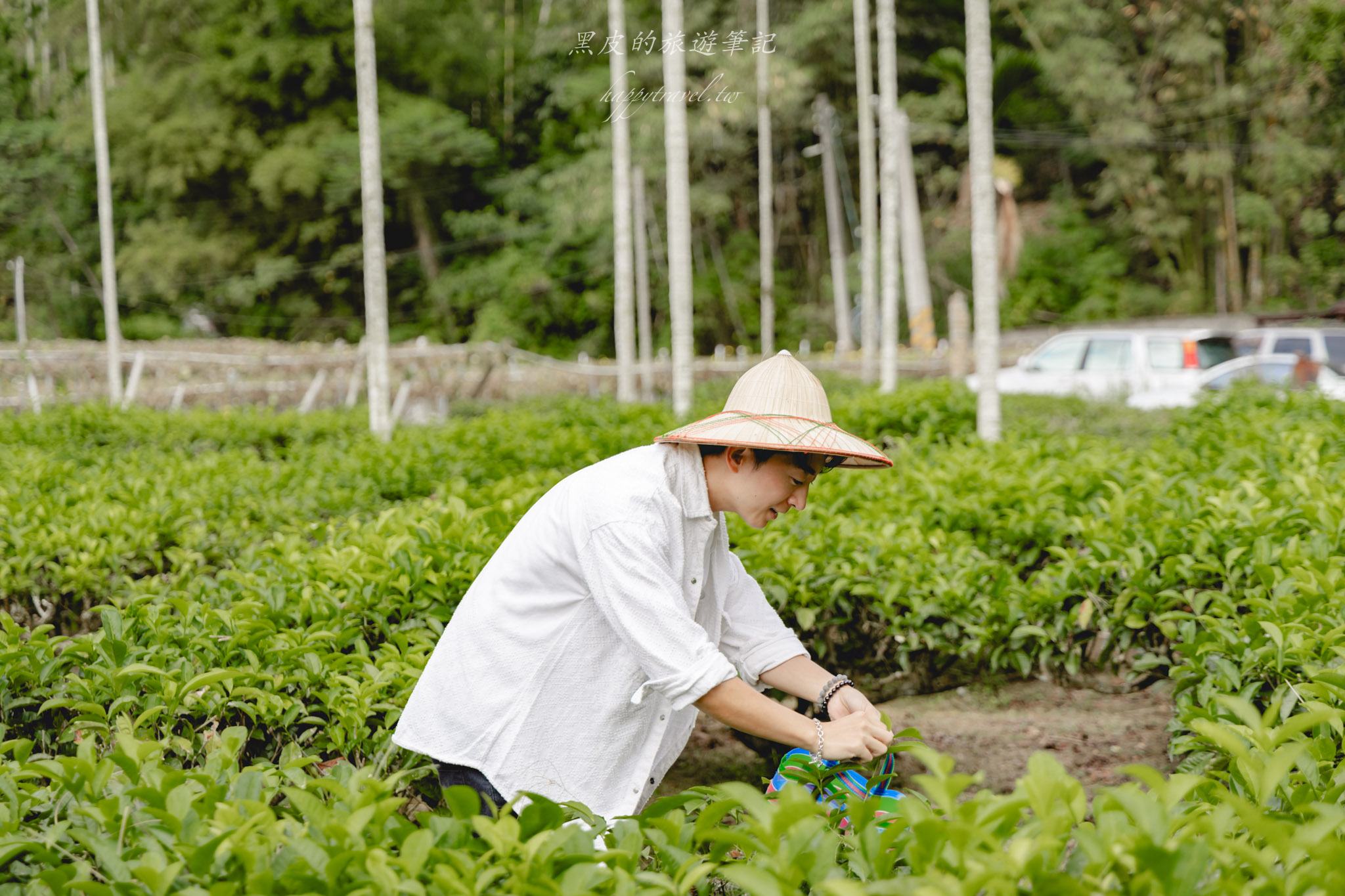 澀水皇茶｜日月潭最多樣好玩的DIY茶園，還有超精緻的日月潭紅茶料理。日月潭親子行程