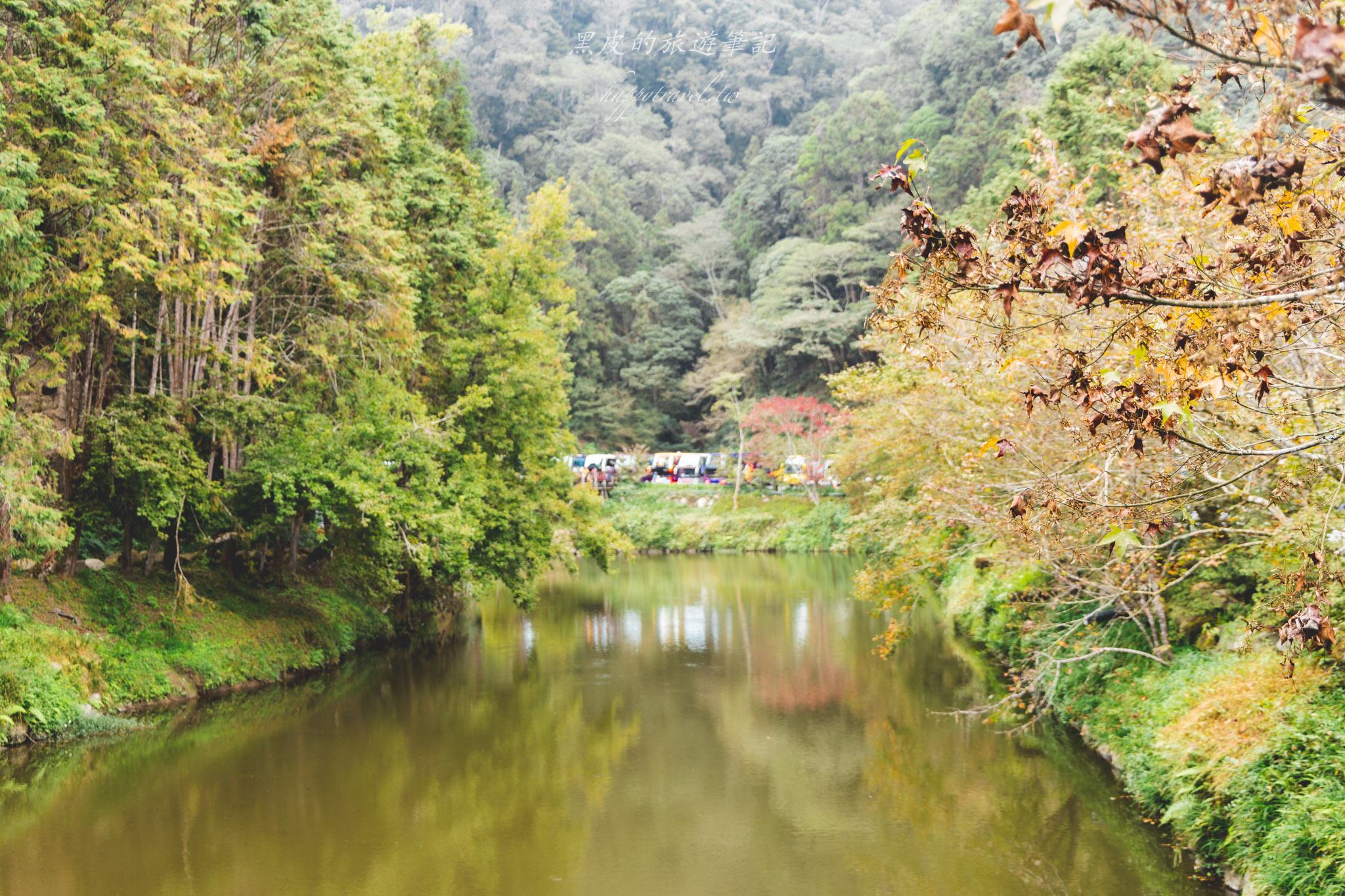 杉林溪森林生態渡假園區｜門票資訊、園區介紹，玩法一次看