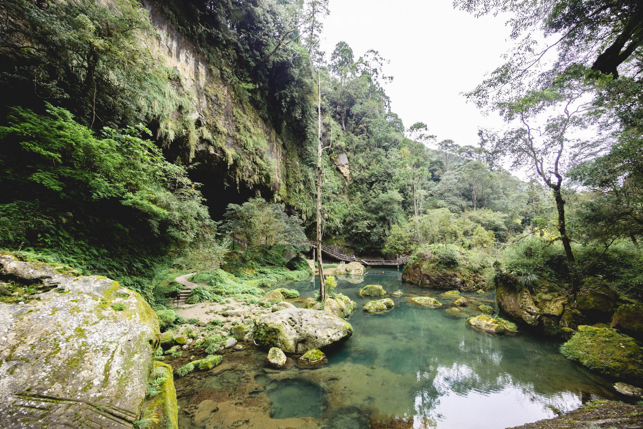 杉林溪森林生態渡假園區｜門票資訊、園區介紹，玩法一次看