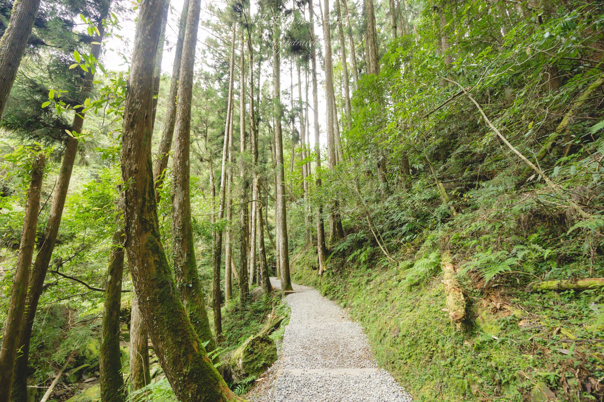 杉林溪森林生態渡假園區｜門票資訊、園區介紹，玩法一次看