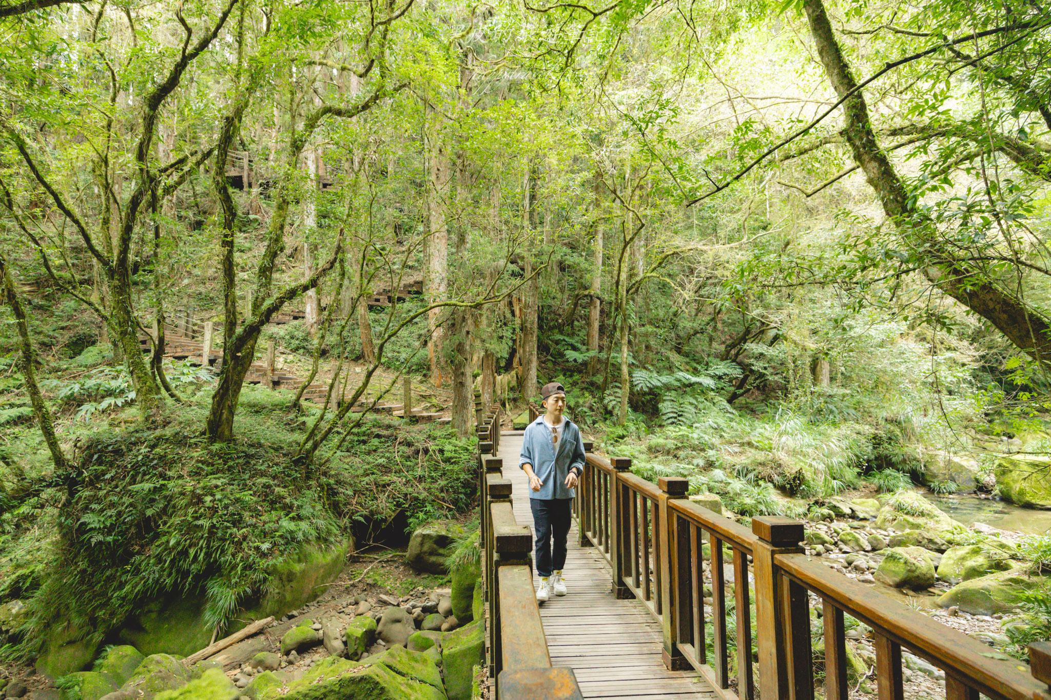 杉林溪森林生態渡假園區｜門票資訊、園區介紹，玩法一次看