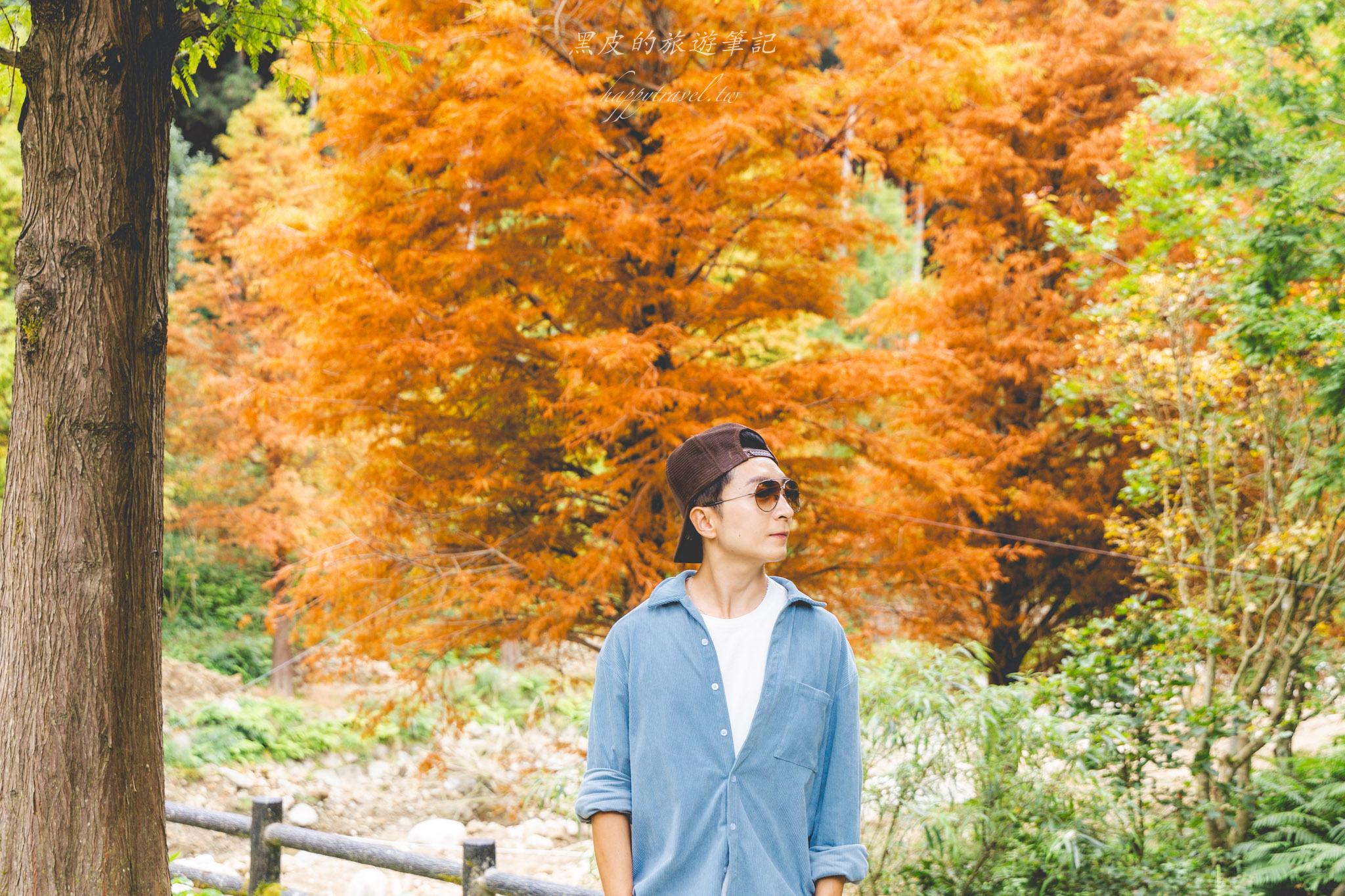 杉林溪森林生態渡假園區｜門票資訊、園區介紹，玩法一次看