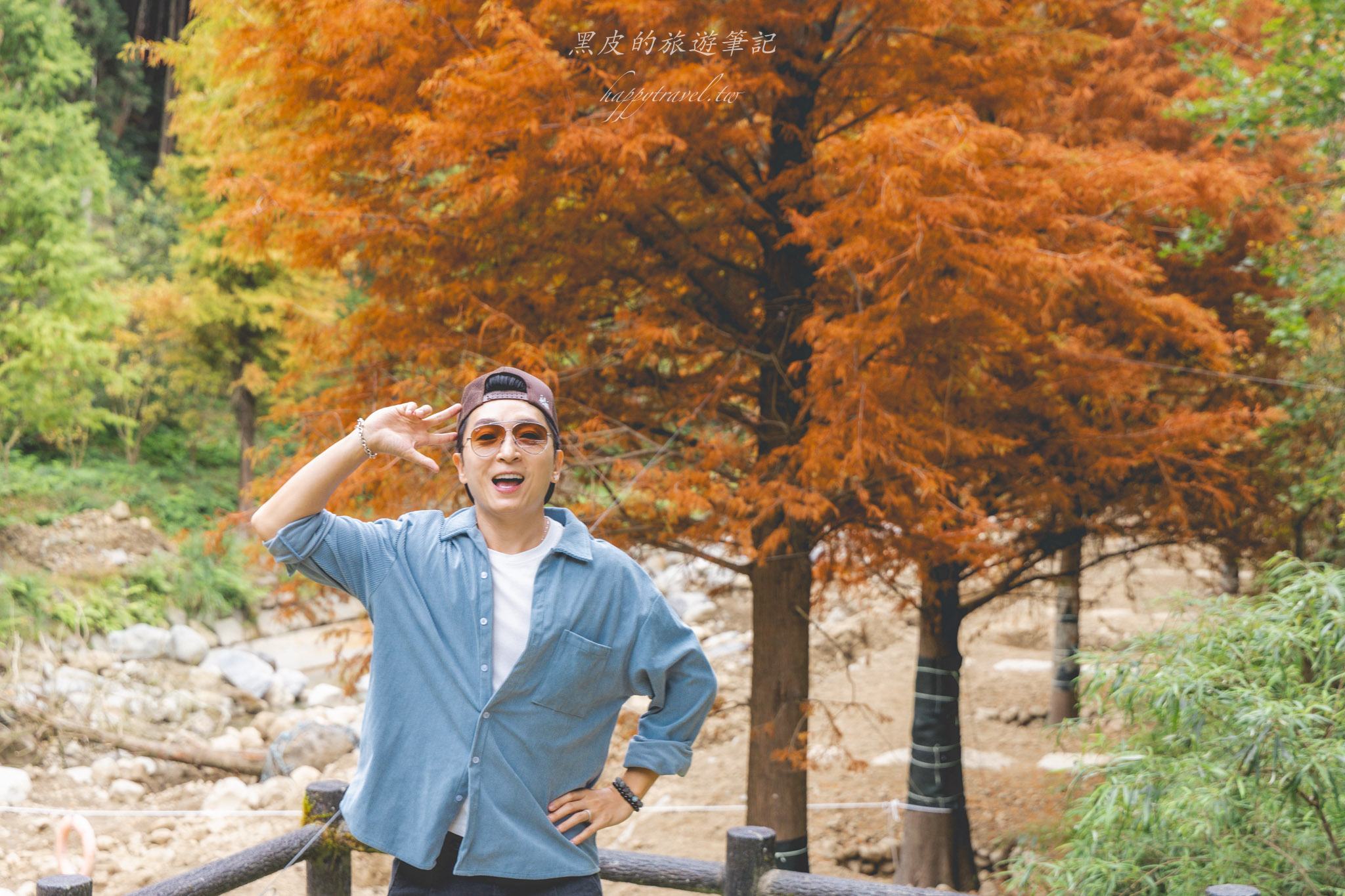 杉林溪森林生態渡假園區｜門票資訊、園區介紹，玩法一次看