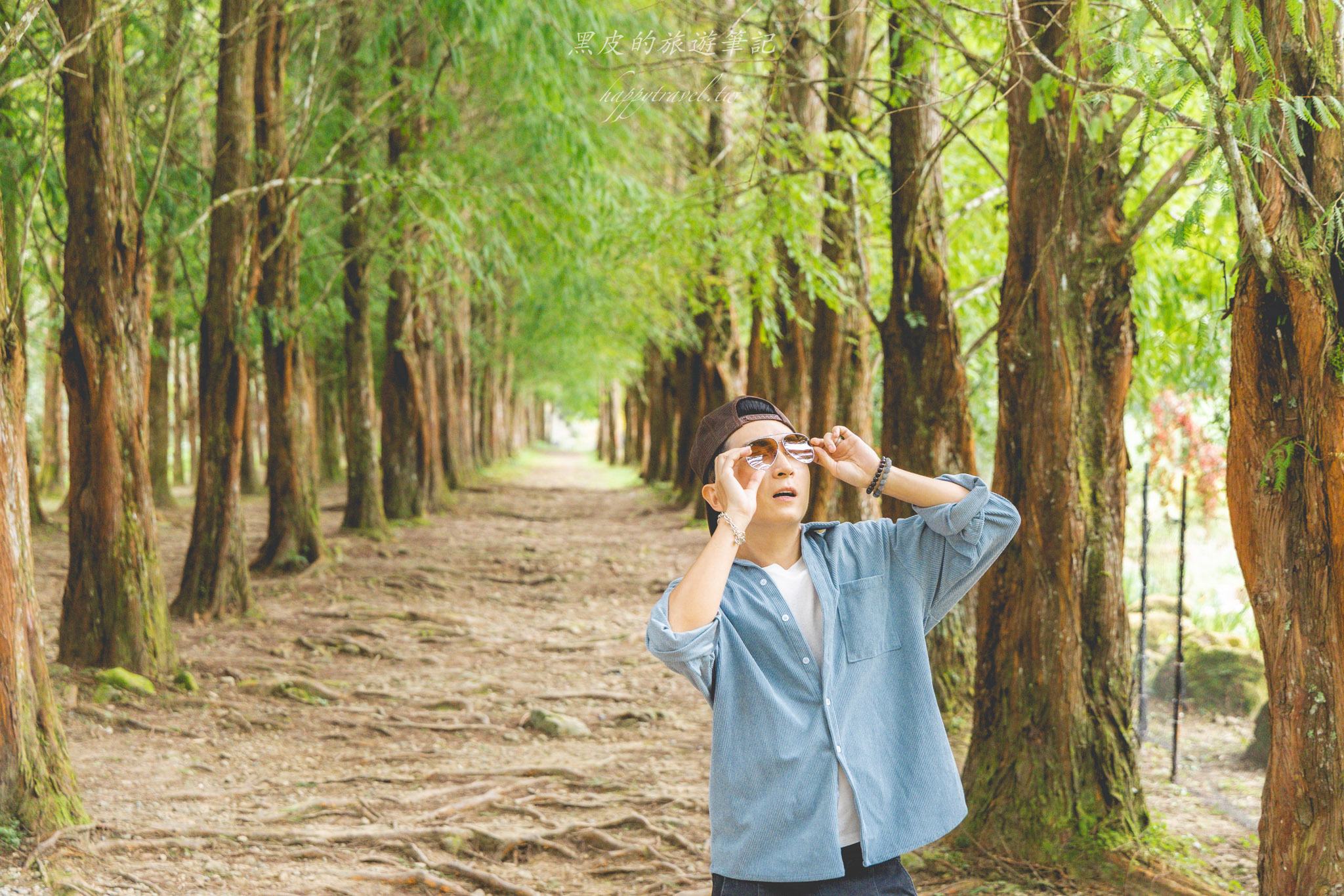 杉林溪森林生態渡假園區｜門票資訊、園區介紹，玩法一次看