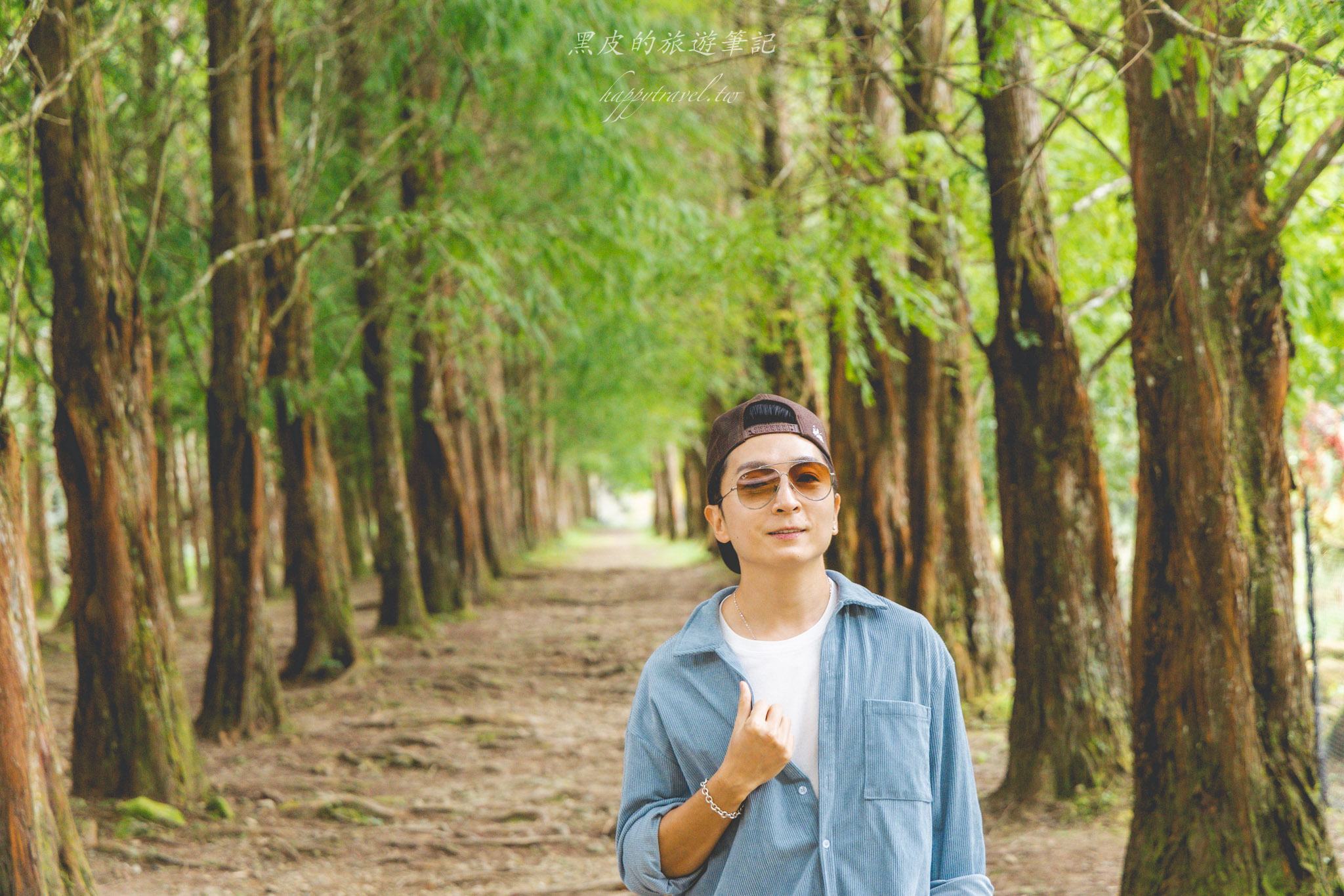 杉林溪森林生態渡假園區｜門票資訊、園區介紹，玩法一次看