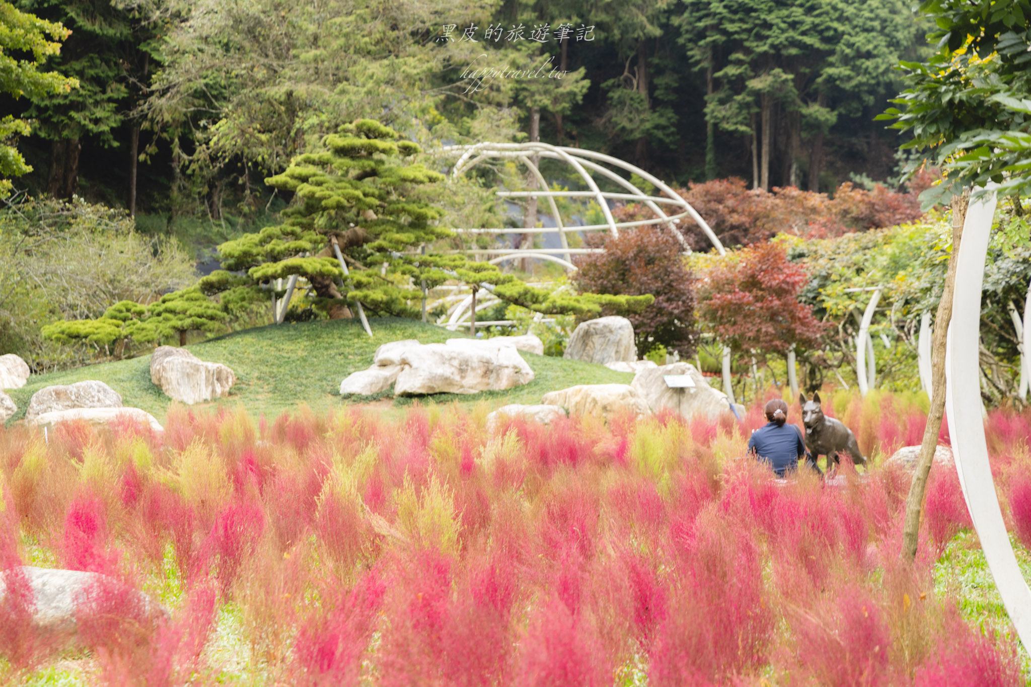 杉林溪森林生態渡假園區｜門票資訊、園區介紹，玩法一次看