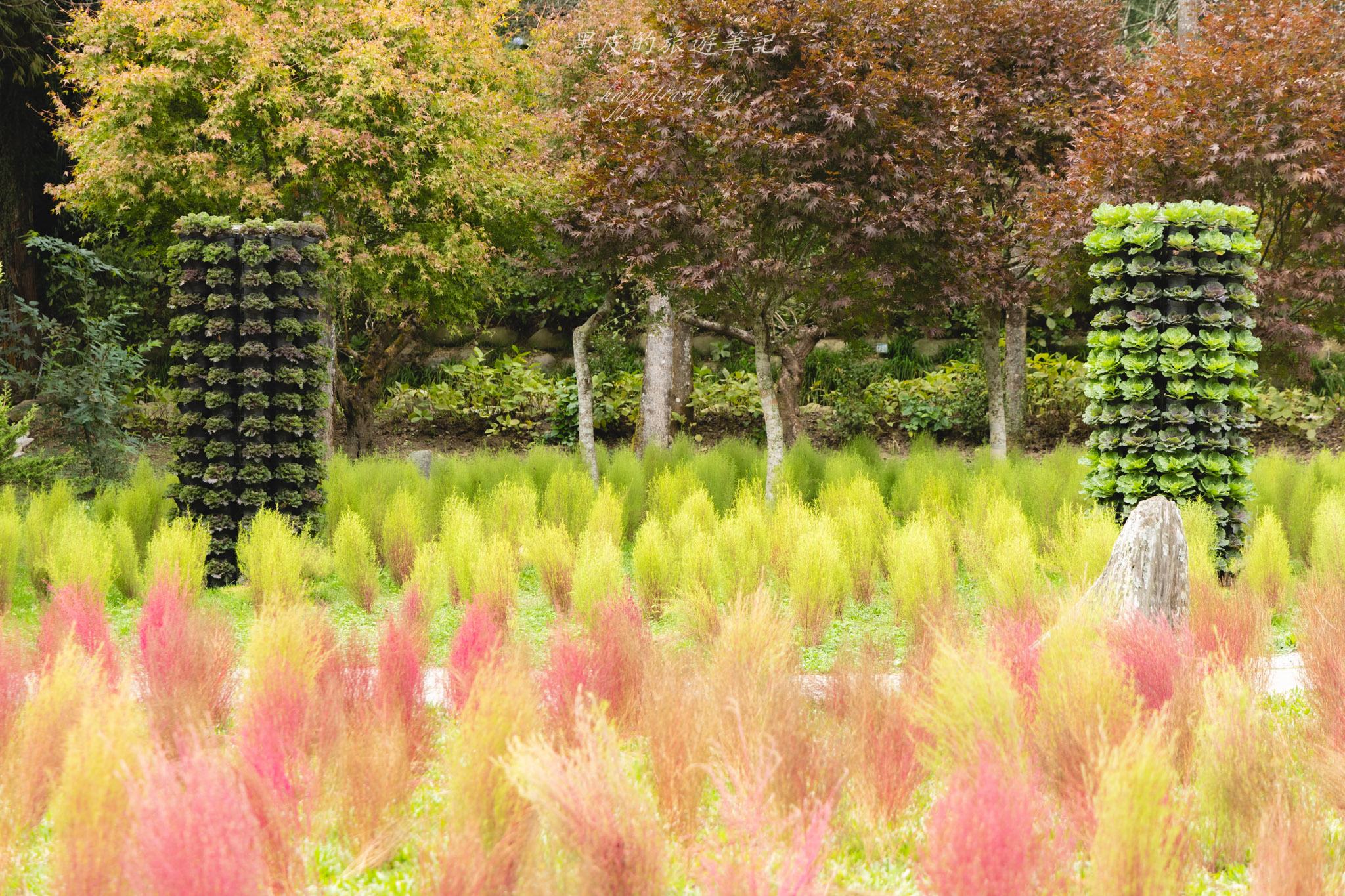 杉林溪森林生態渡假園區｜門票資訊、園區介紹，玩法一次看