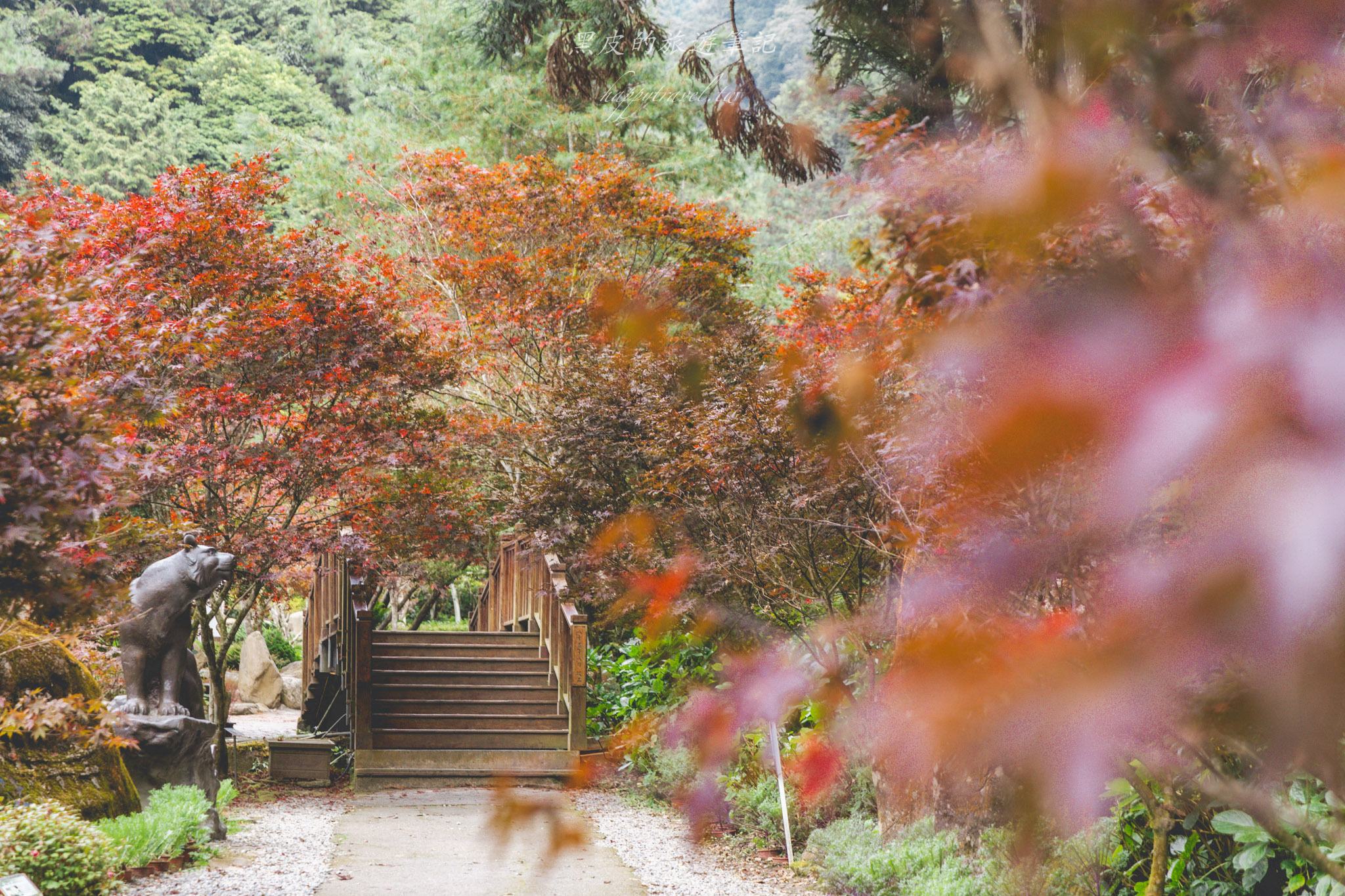 杉林溪森林生態渡假園區｜門票資訊、園區介紹，玩法一次看
