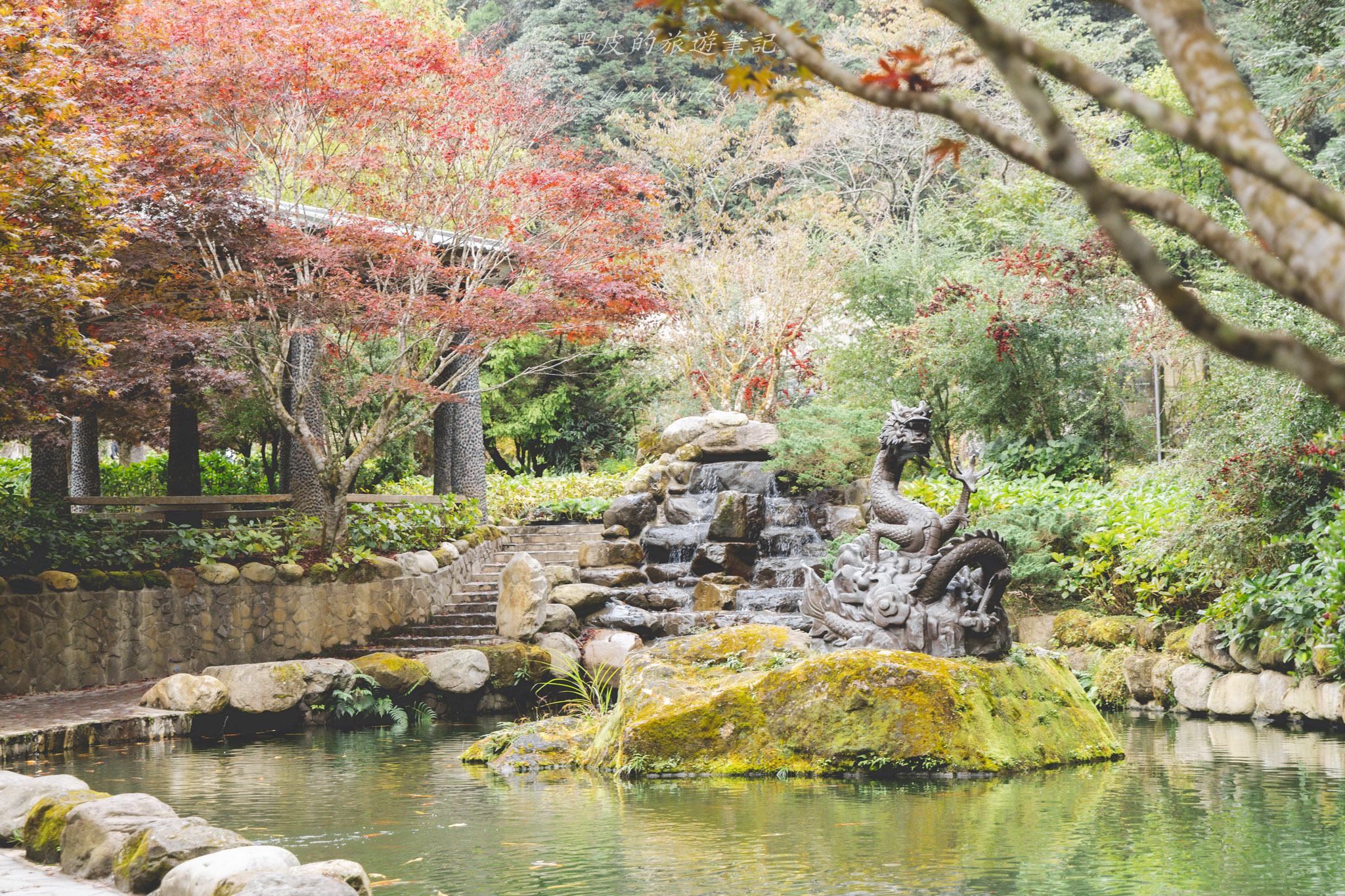 杉林溪森林生態渡假園區｜門票資訊、園區介紹，玩法一次看