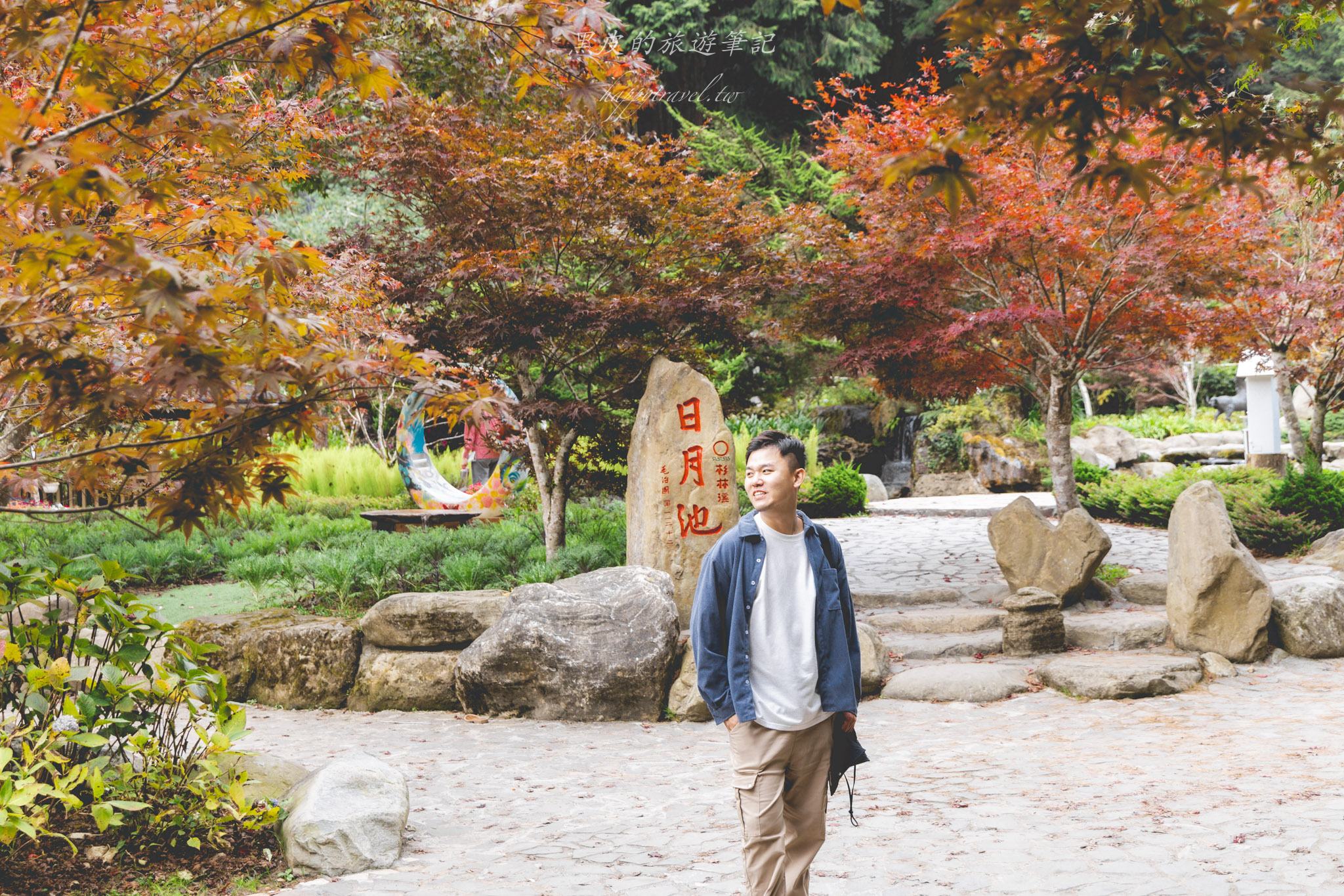 杉林溪森林生態渡假園區｜門票資訊、園區介紹，玩法一次看