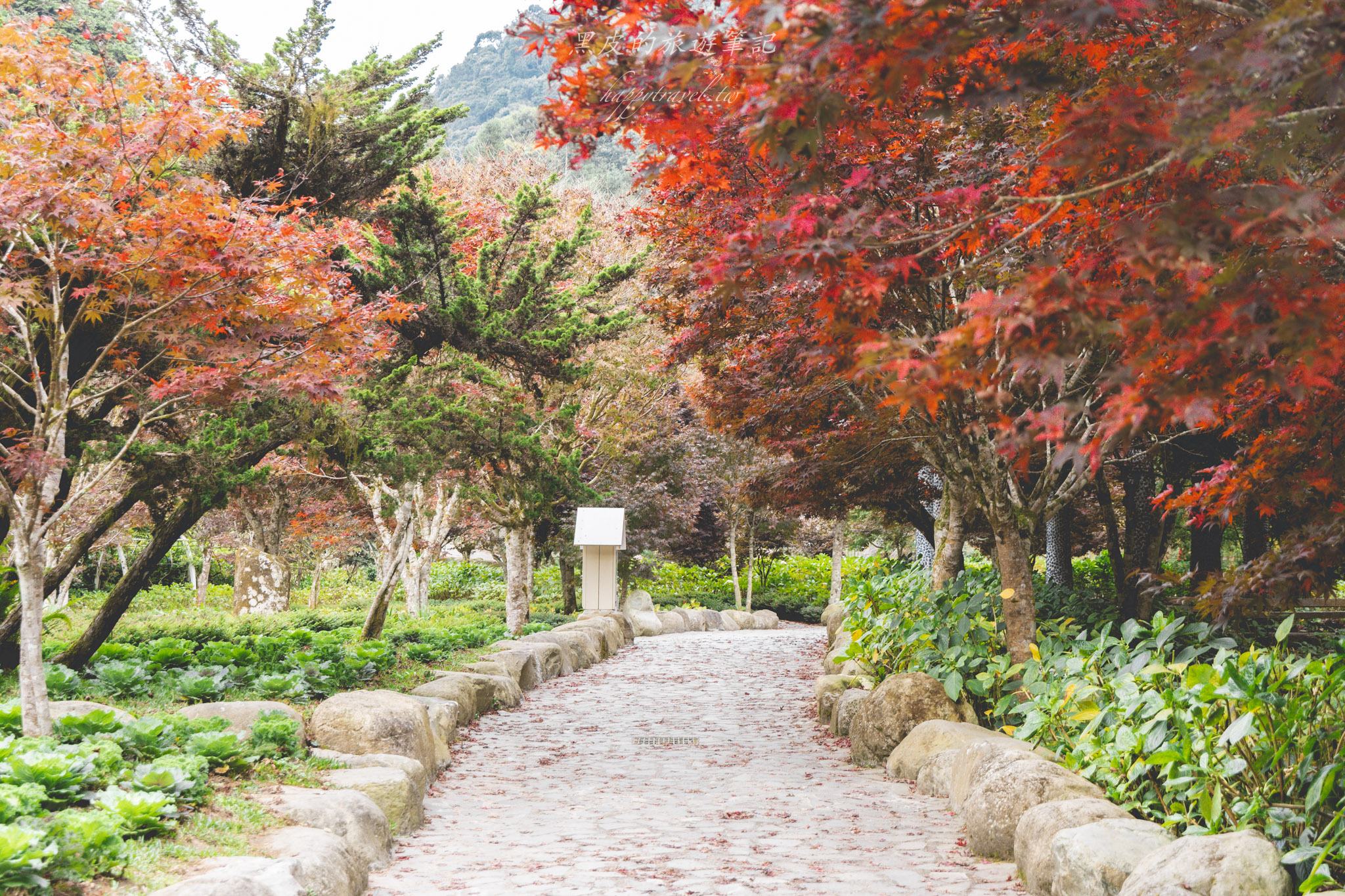 杉林溪森林生態渡假園區｜門票資訊、園區介紹，玩法一次看
