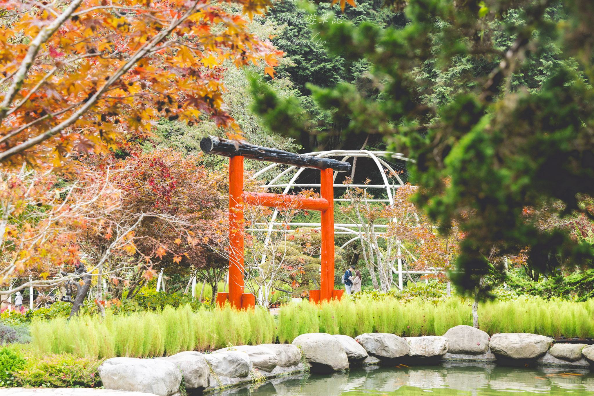 杉林溪森林生態渡假園區｜門票資訊、園區介紹，玩法一次看