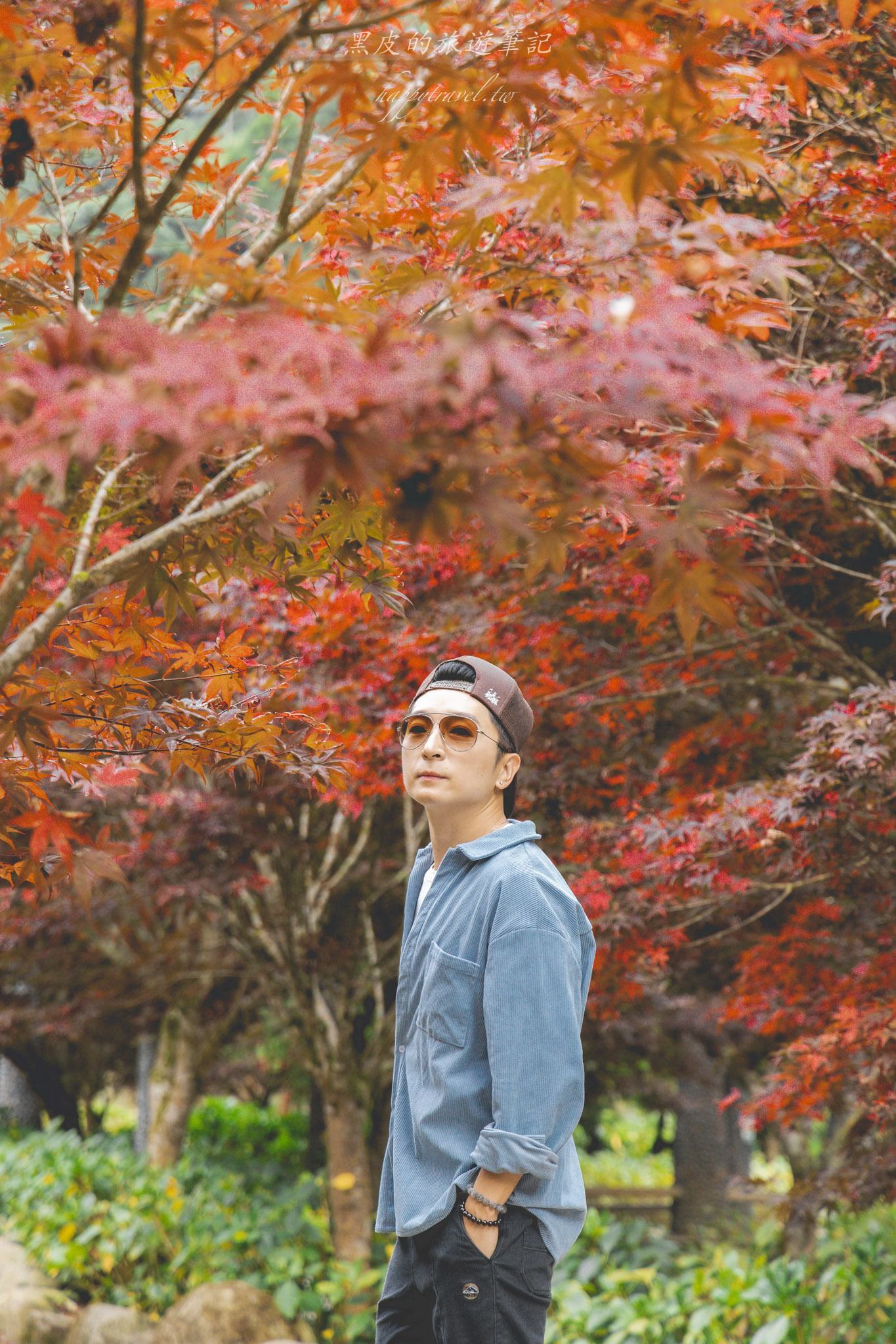 杉林溪森林生態渡假園區｜門票資訊、園區介紹，玩法一次看