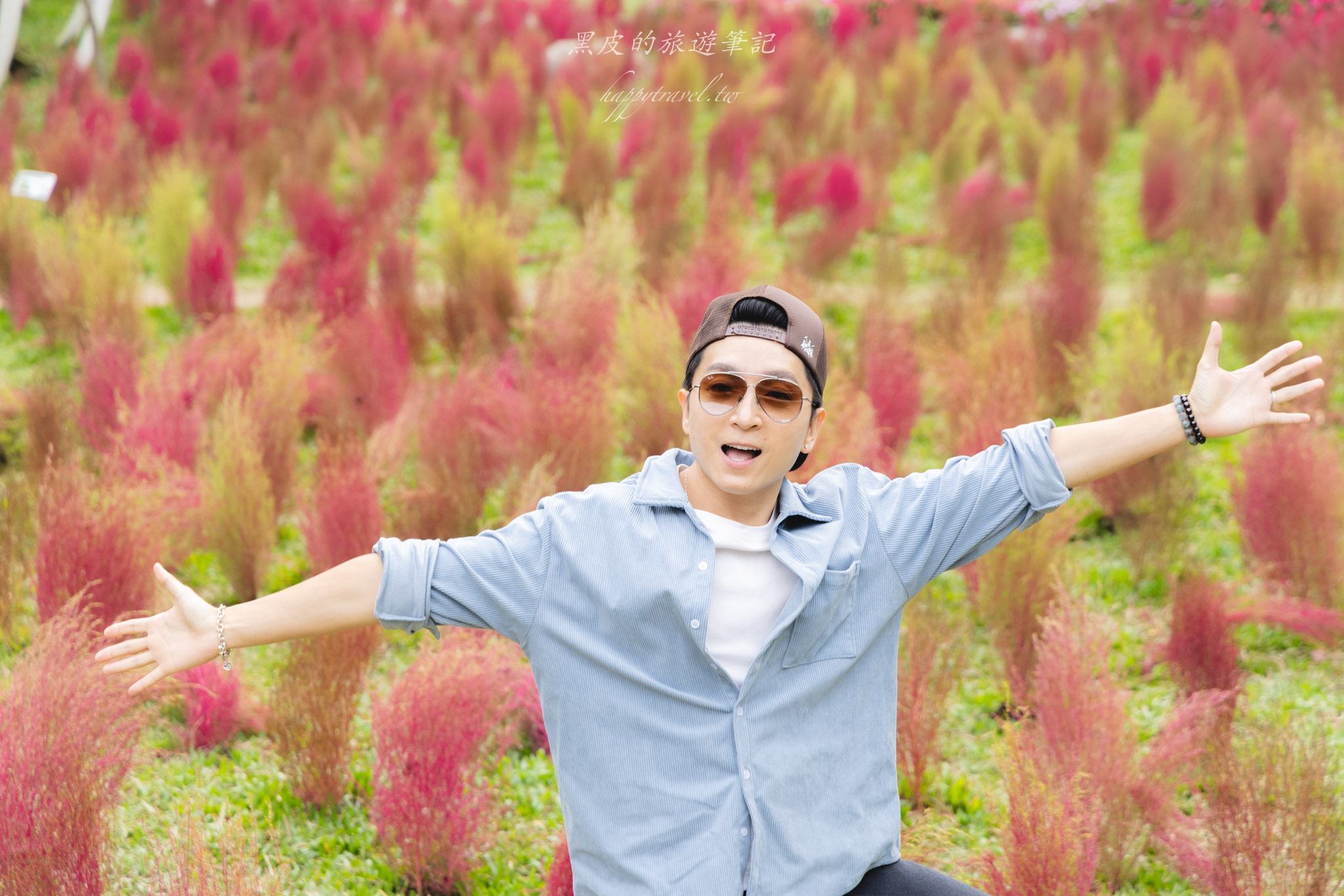 杉林溪森林生態渡假園區｜門票資訊、園區介紹，玩法一次看