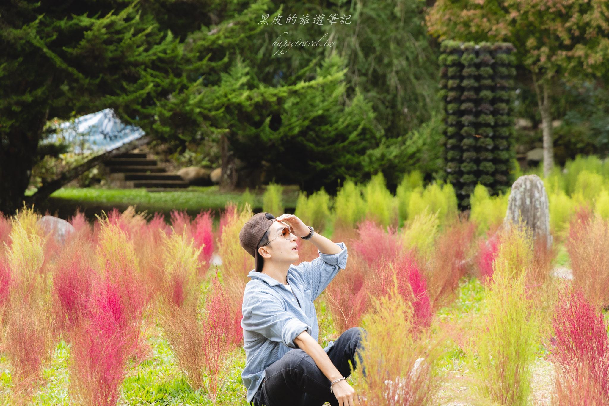 杉林溪森林生態渡假園區｜門票資訊、園區介紹，玩法一次看