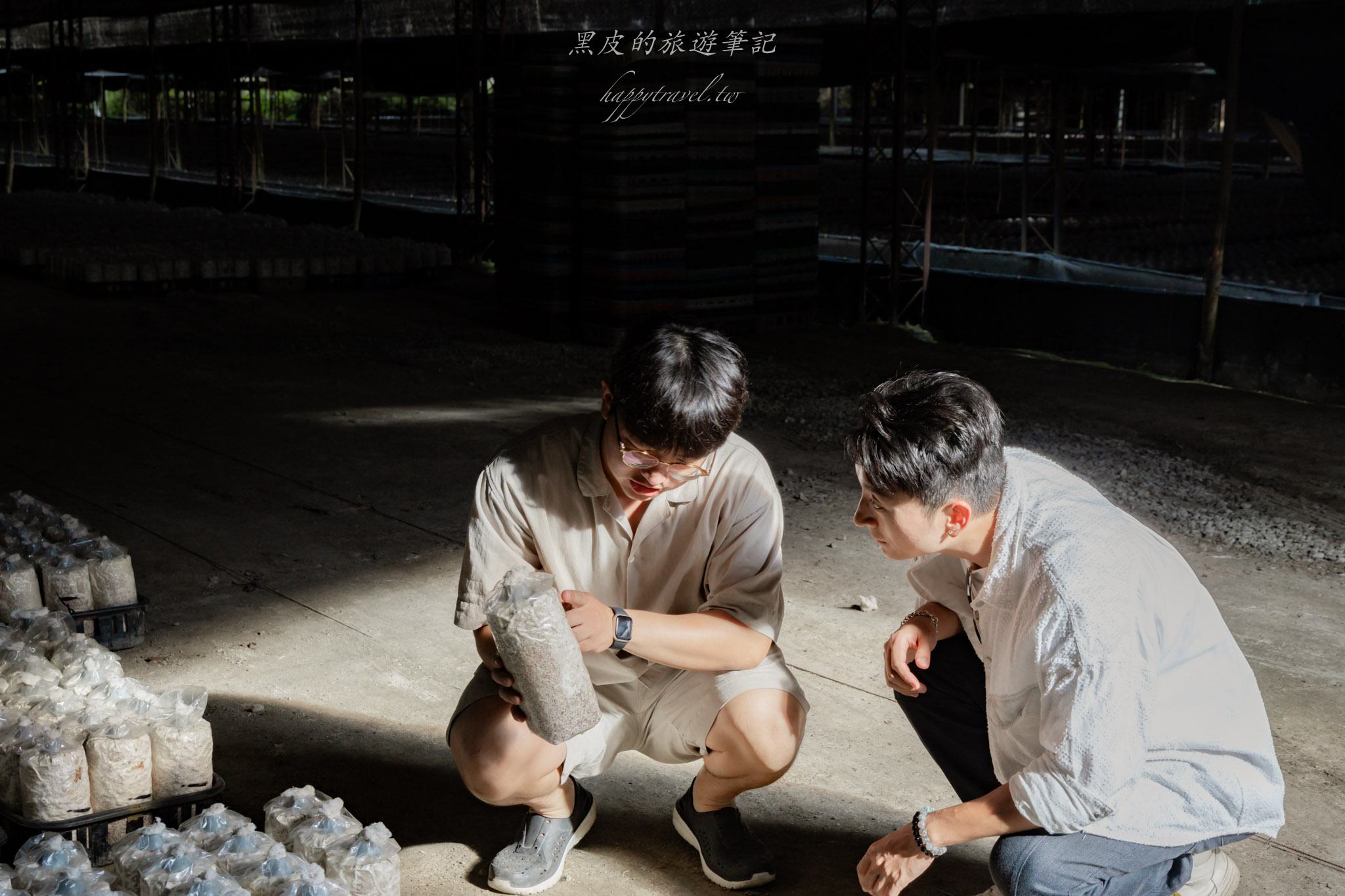 南投2天1夜｜集集×水里×頭社活盆地完整攻略：老街散步、秘境隧道、森林系住宿一次玩