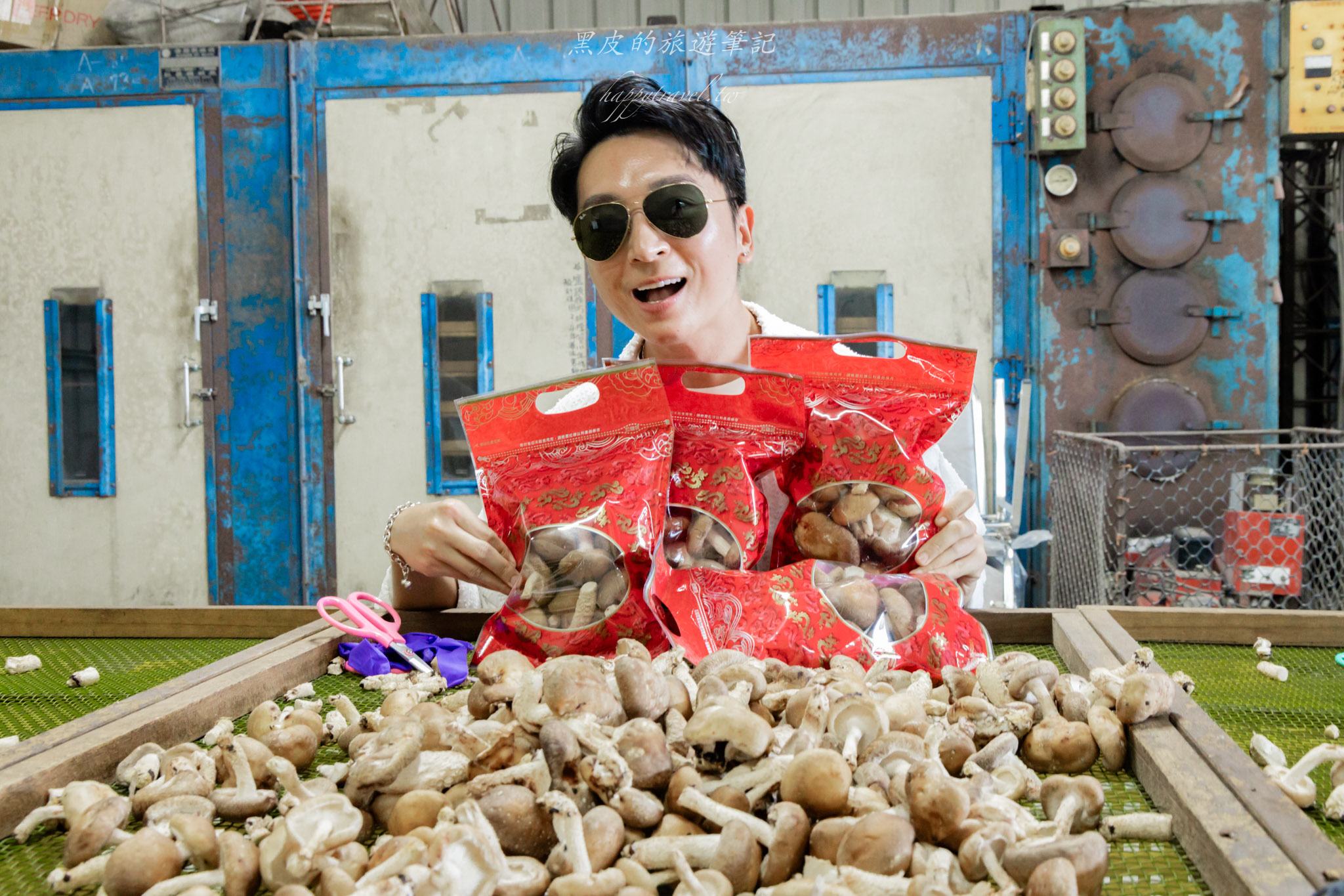 南投2天1夜｜集集×水里×頭社活盆地完整攻略：老街散步、秘境隧道、森林系住宿一次玩