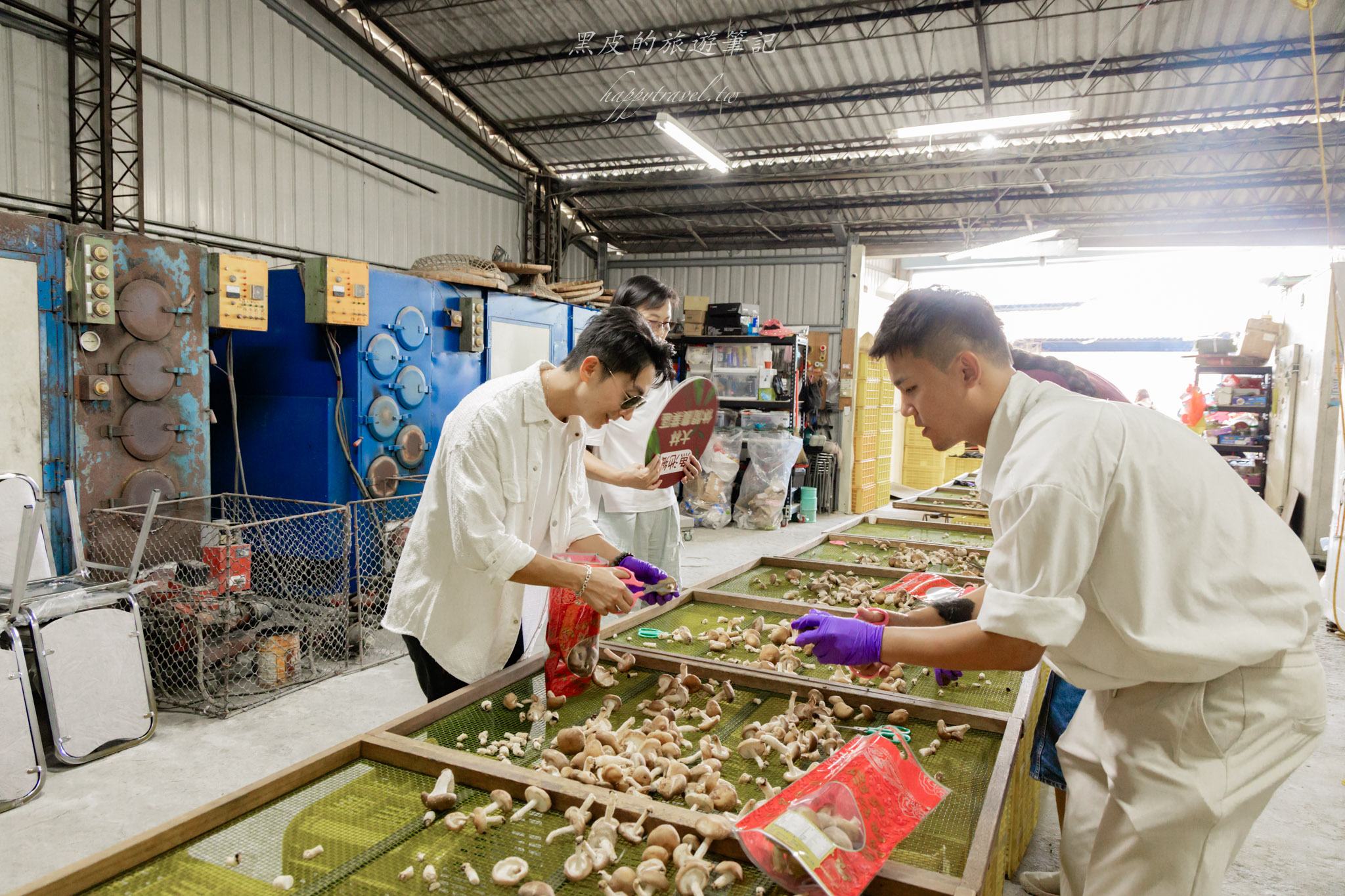 南投2天1夜｜集集×水里×頭社活盆地完整攻略：老街散步、秘境隧道、森林系住宿一次玩