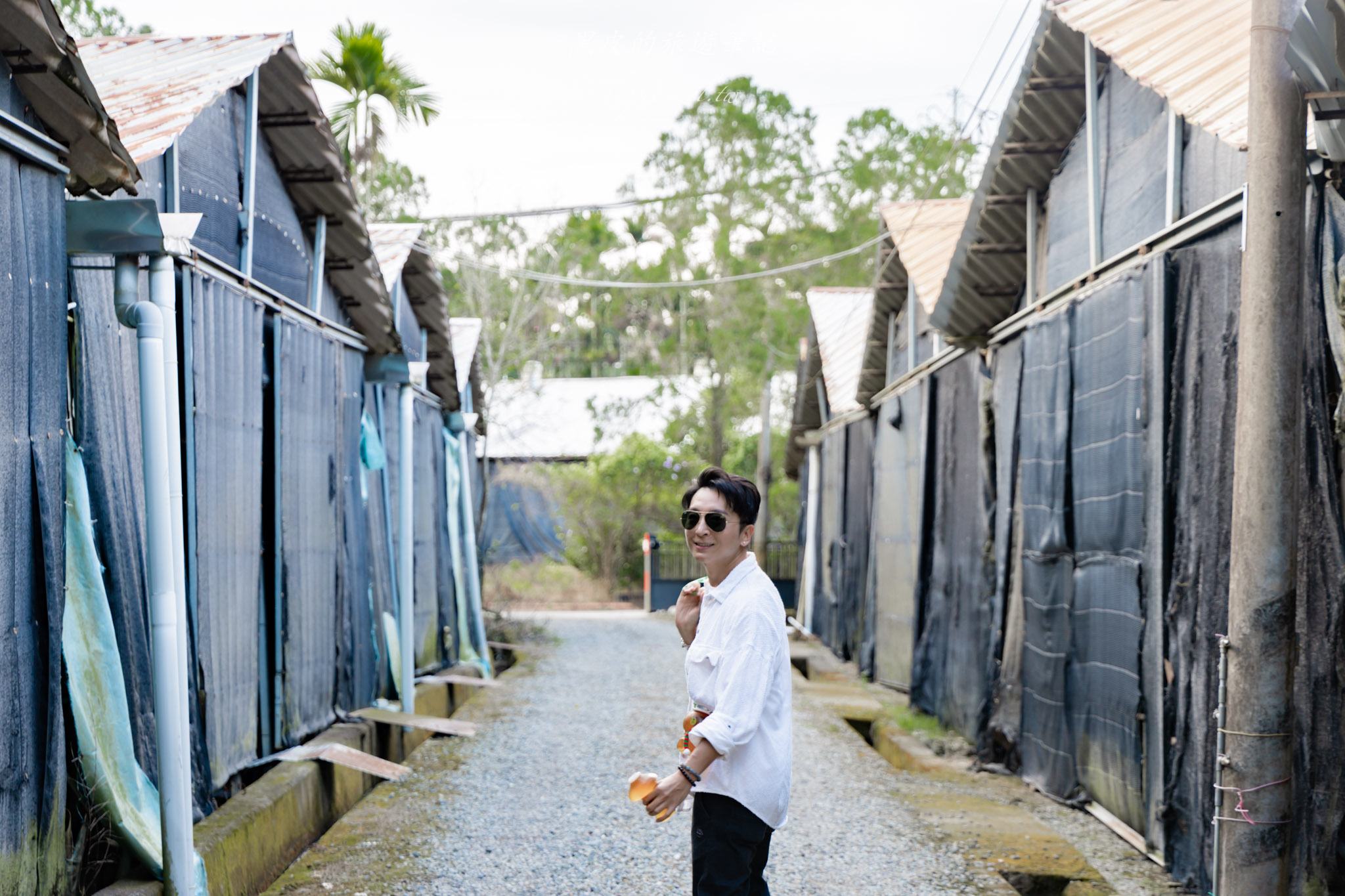 南投2天1夜｜集集×水里×頭社活盆地完整攻略：老街散步、秘境隧道、森林系住宿一次玩