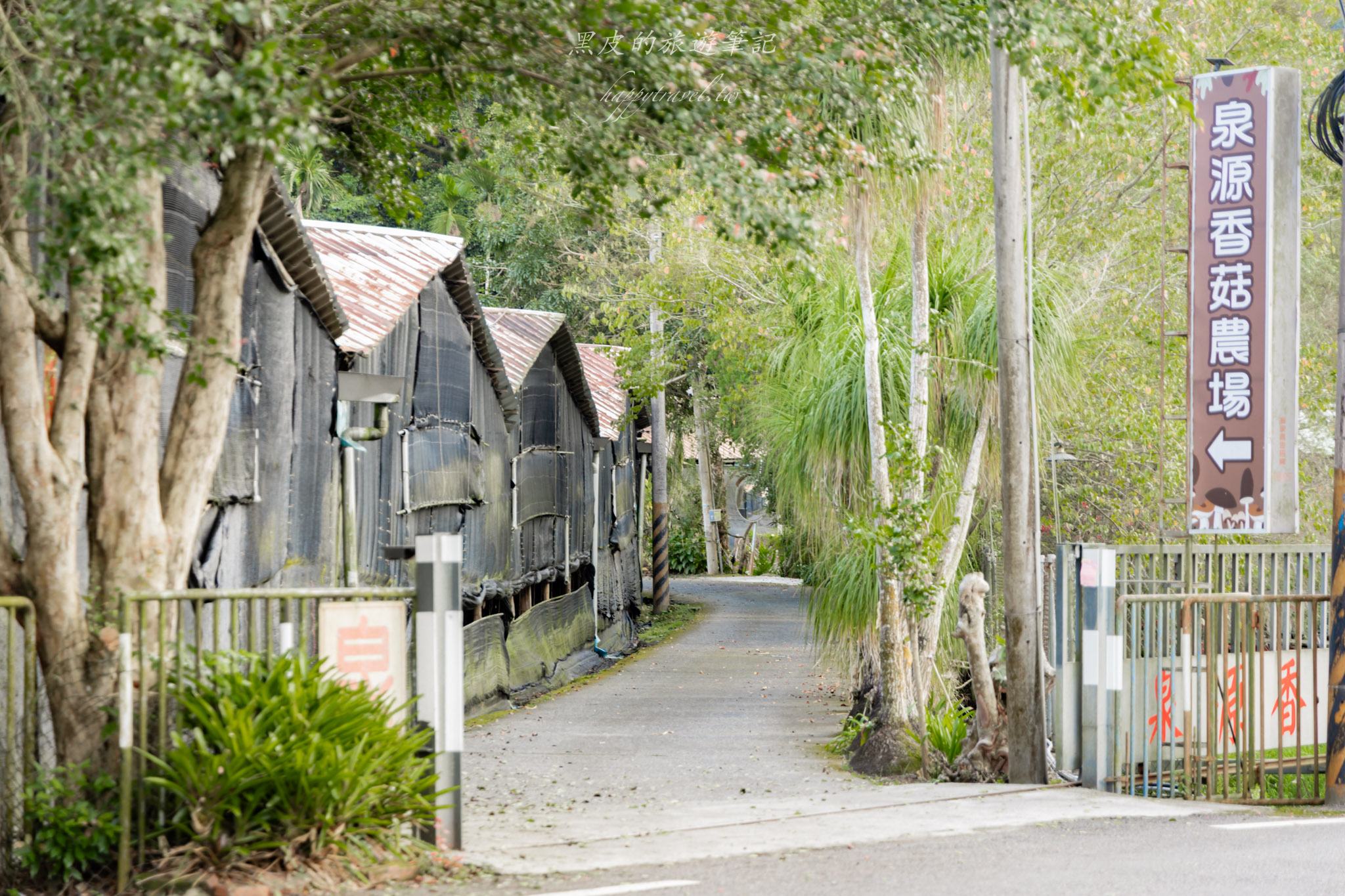 南投2天1夜｜集集×水里×頭社活盆地完整攻略：老街散步、秘境隧道、森林系住宿一次玩