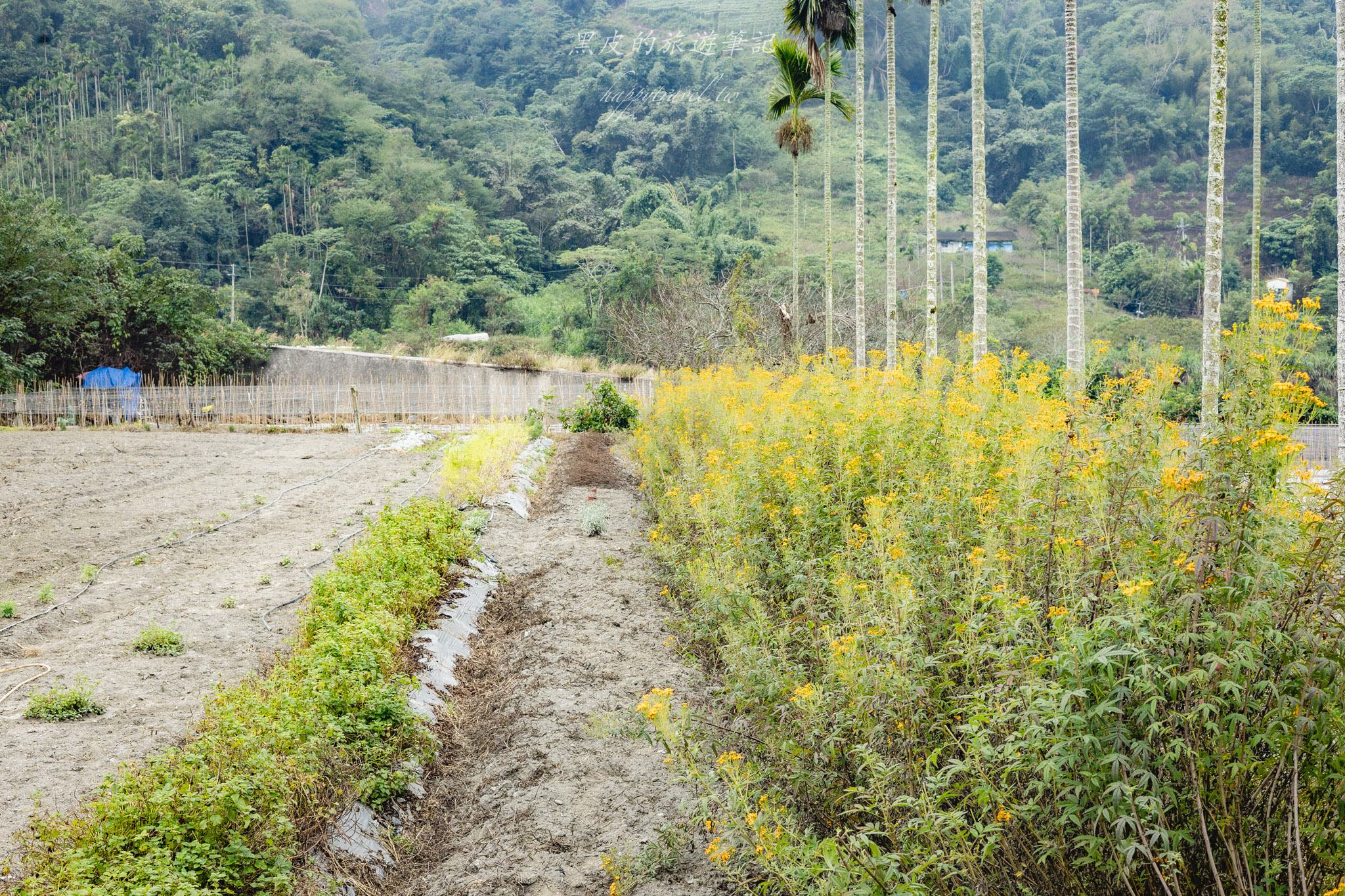 三十甲休閒農場
