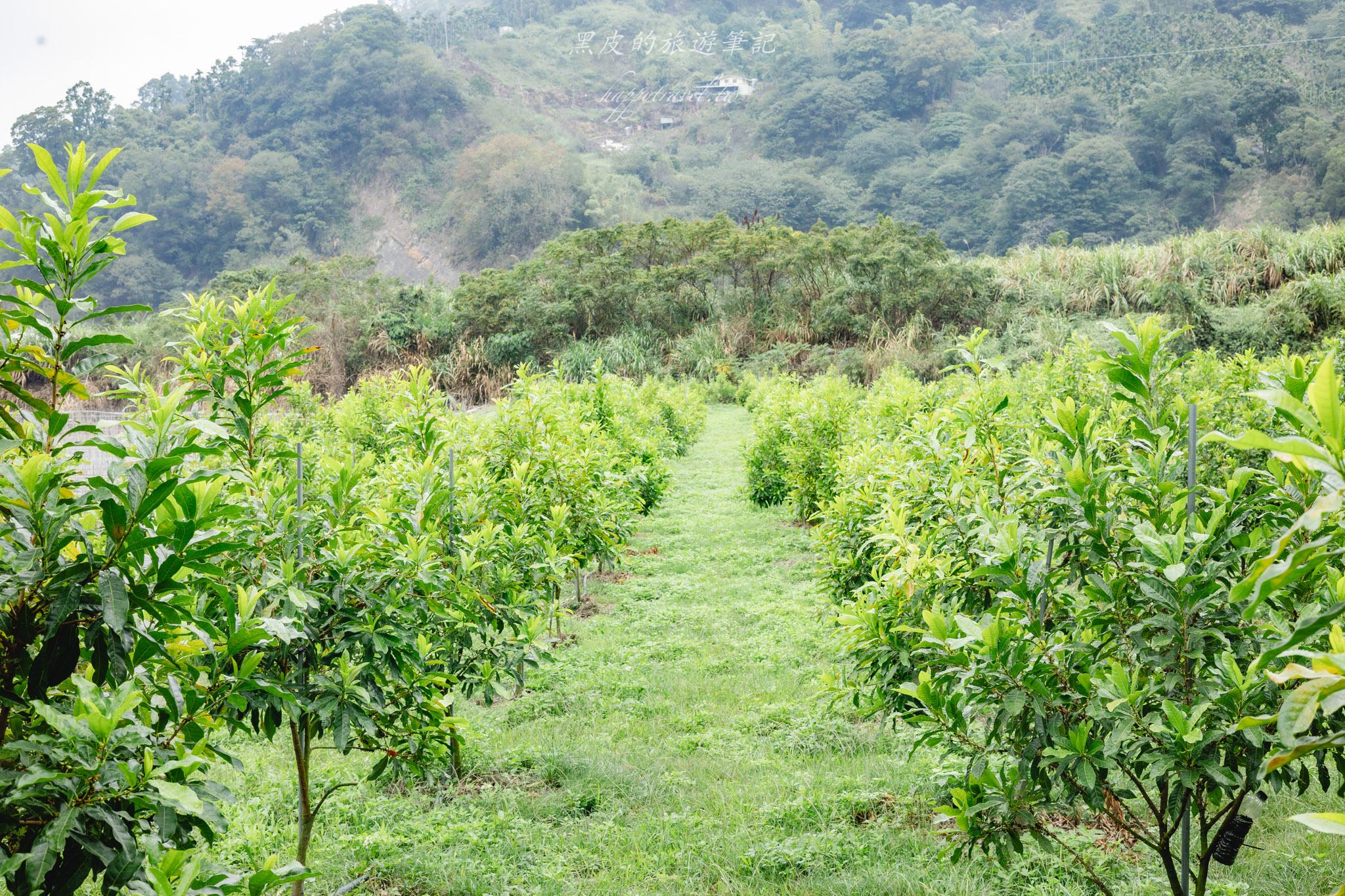 三十甲休閒農場