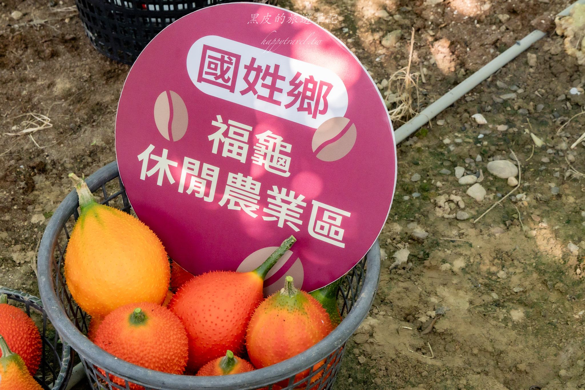 國姓、中寮一日遊｜走進咖啡的故鄉感受大自然的洗禮