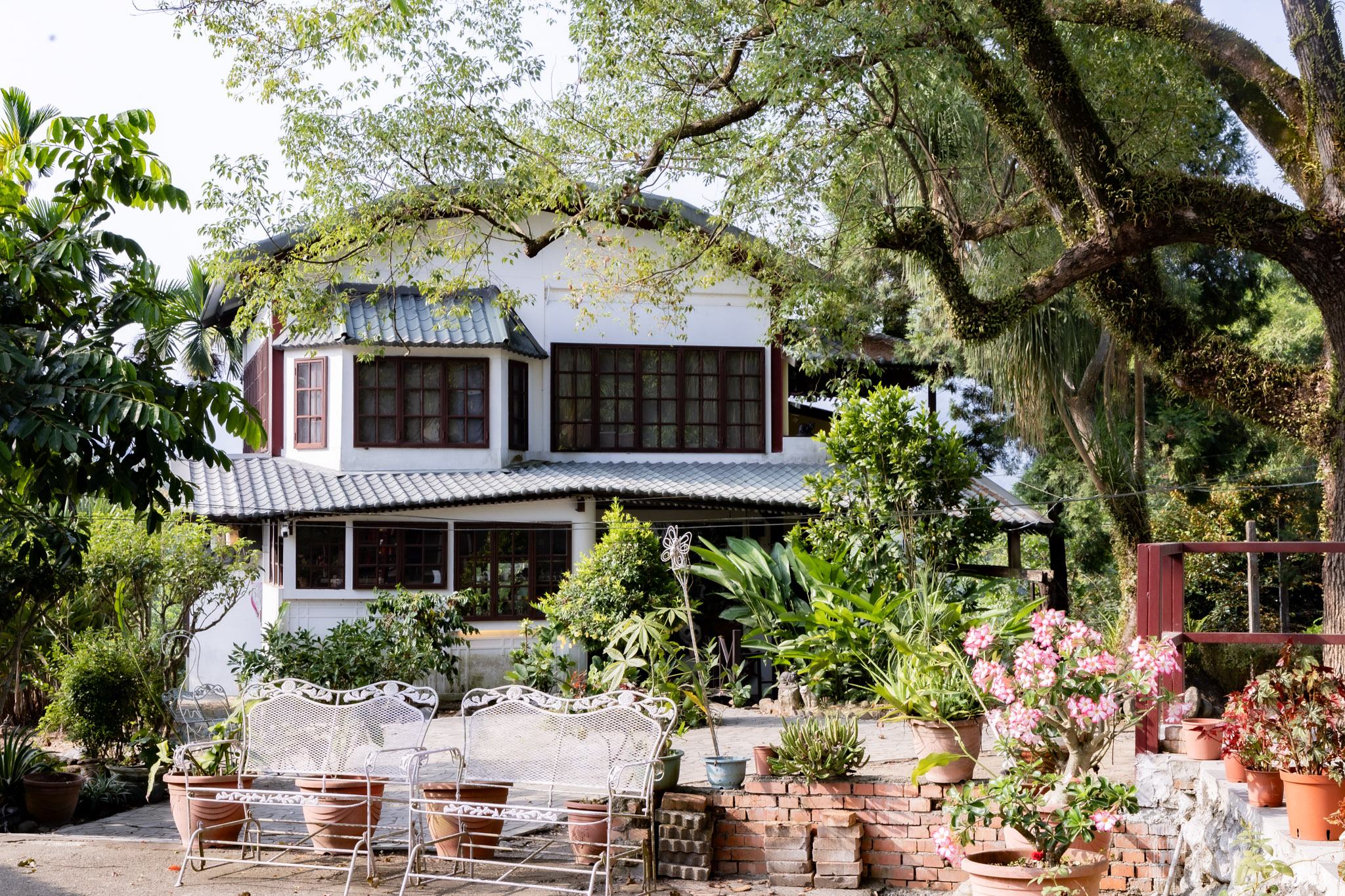 國姓、中寮一日遊｜走進咖啡的故鄉感受大自然的洗禮