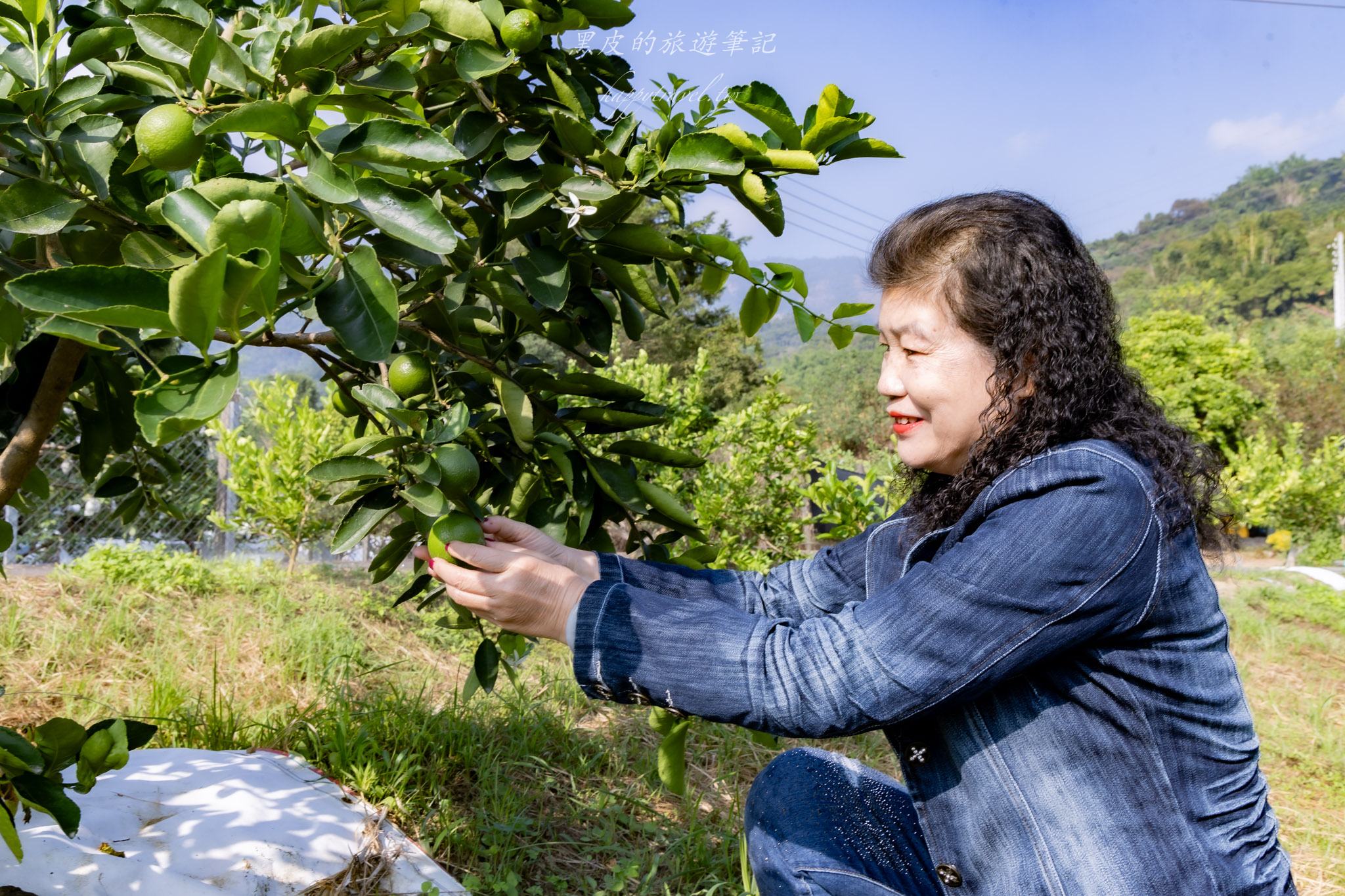 國姓、中寮一日遊｜走進咖啡的故鄉感受大自然的洗禮