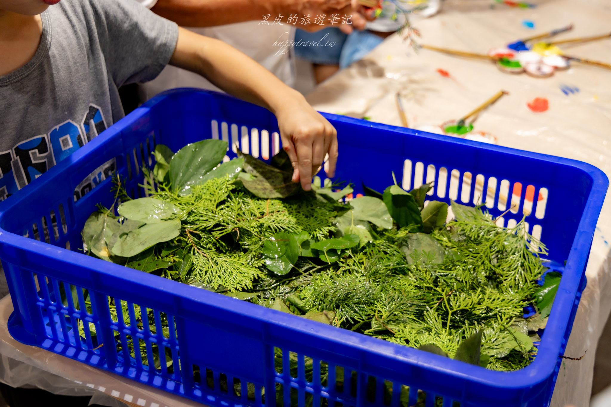 國姓、中寮一日遊｜走進咖啡的故鄉感受大自然的洗禮