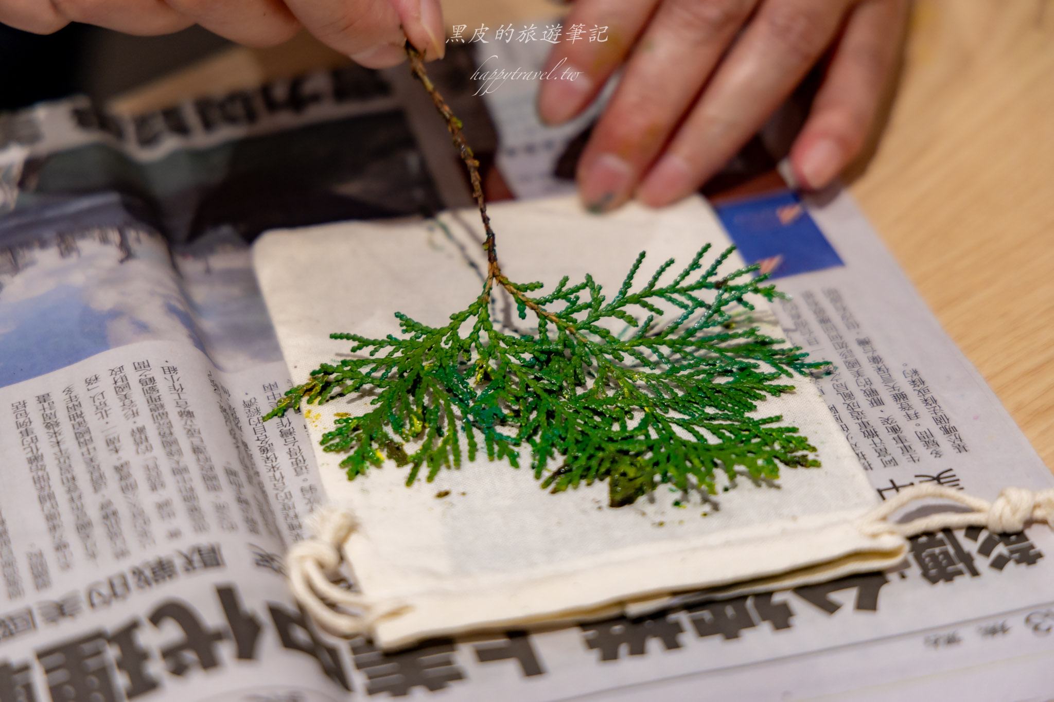 國姓、中寮一日遊｜走進咖啡的故鄉感受大自然的洗禮