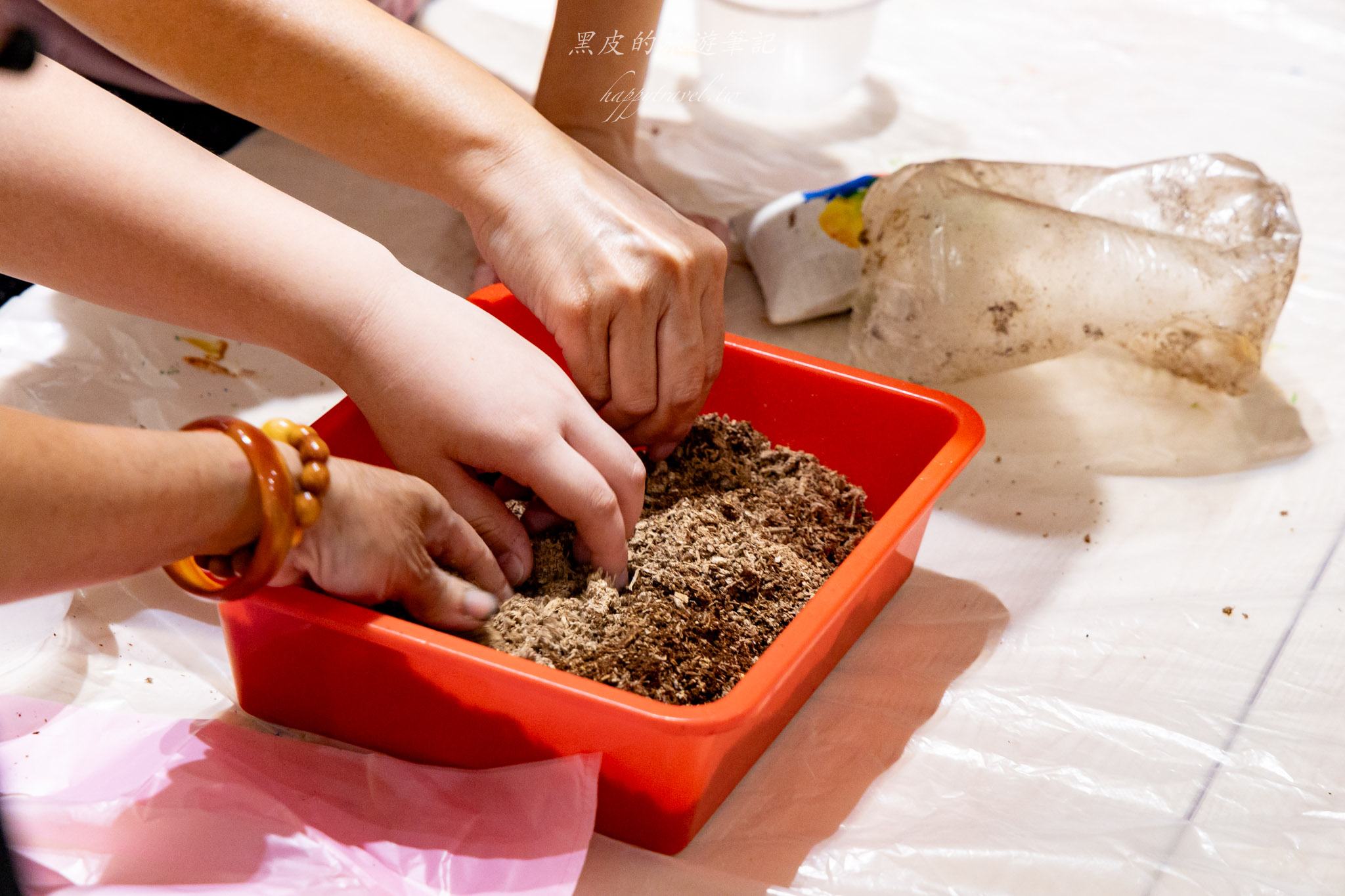 國姓、中寮一日遊｜走進咖啡的故鄉感受大自然的洗禮
