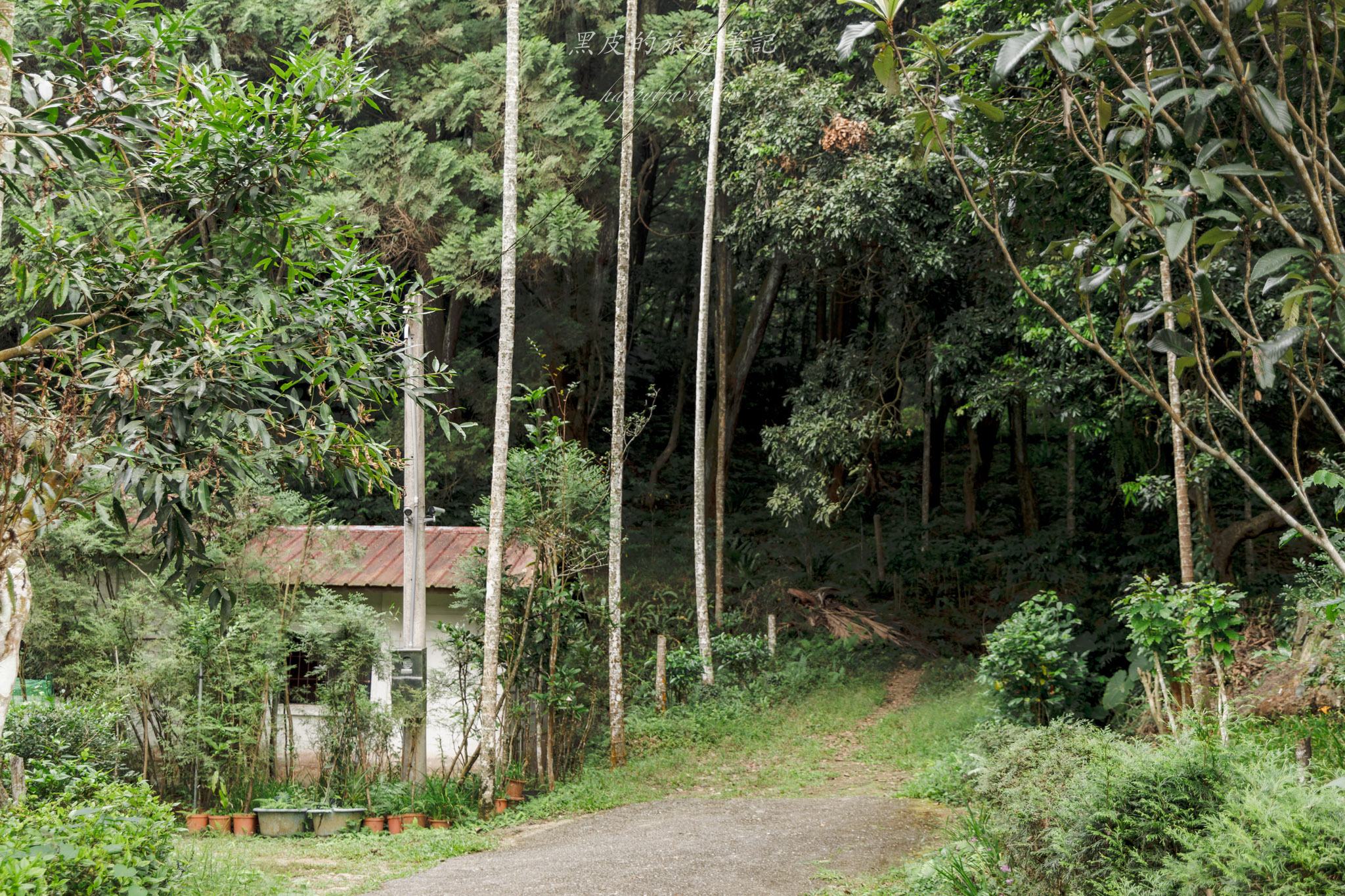 國姓、中寮一日遊｜走進咖啡的故鄉感受大自然的洗禮