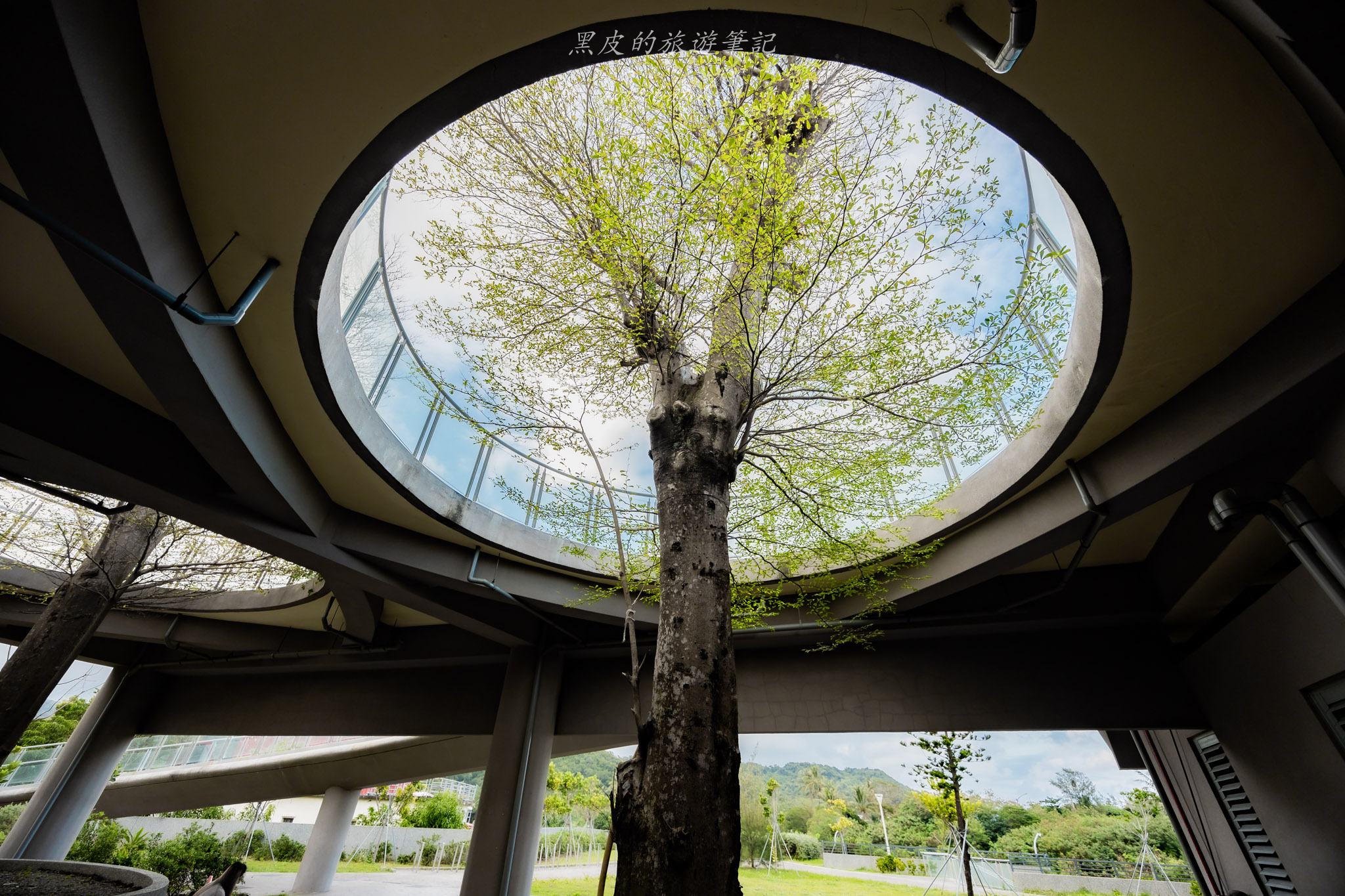 台東大武一日遊|走進台東這一片神秘的鄉鎮,千年神榕真的超震撼|大武景點 94 大武之心南迴驛站