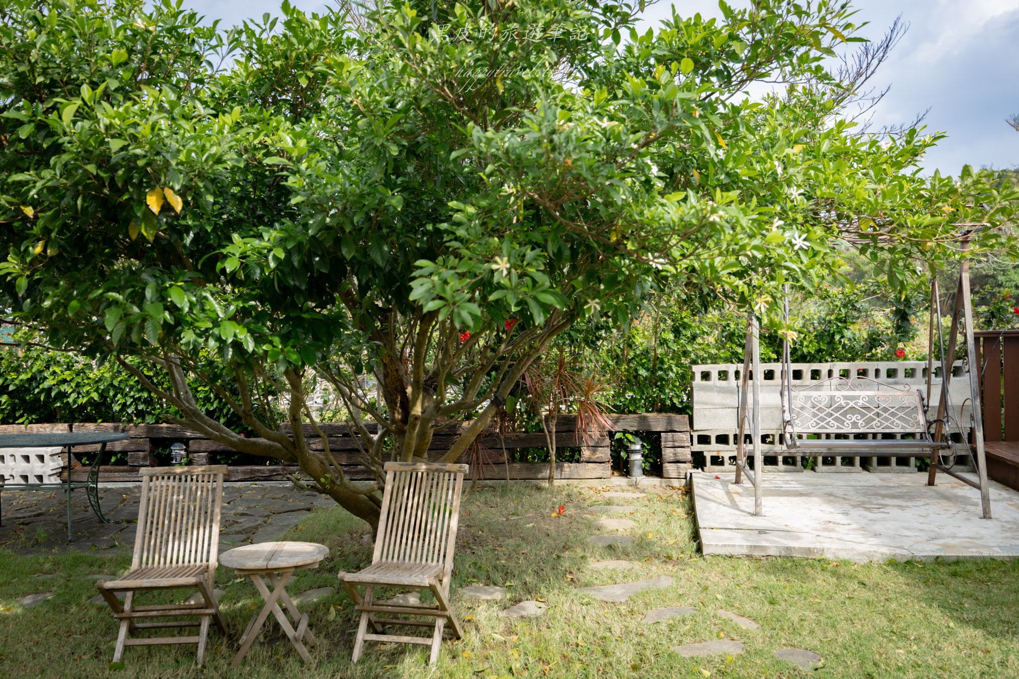 台東大武一日遊|走進台東這一片神秘的鄉鎮,千年神榕真的超震撼|大武景點 163 東方雲民宿