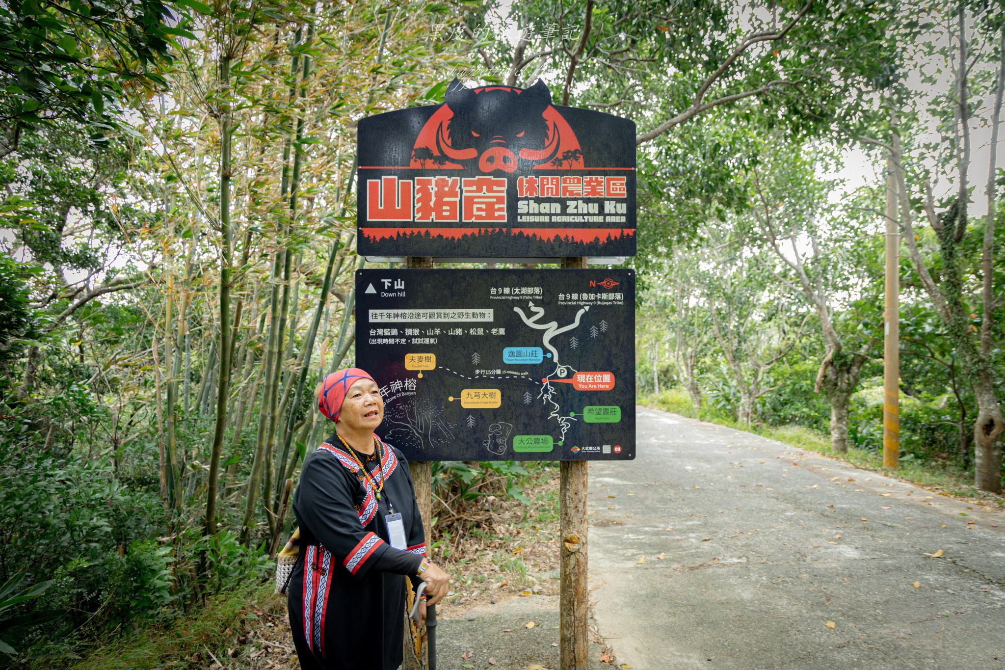 台東大武一日遊|走進台東這一片神秘的鄉鎮,千年神榕真的超震撼|大武景點 119 山豬窟休閒農業區