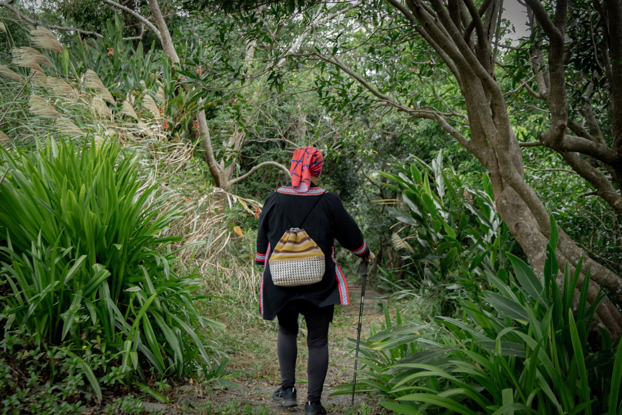 台東大武一日遊|走進台東這一片神秘的鄉鎮,千年神榕真的超震撼|大武景點 120 山豬窟休閒農業區
