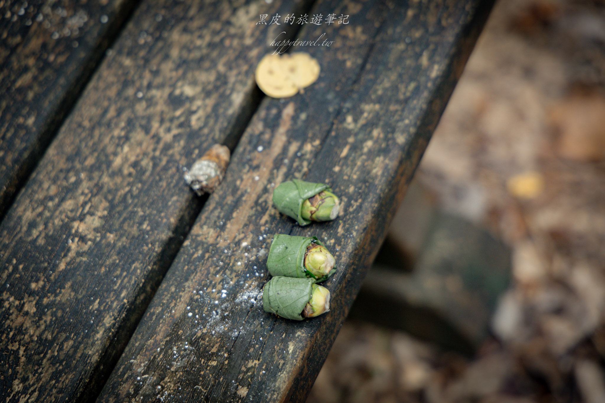 台東大武一日遊|走進台東這一片神秘的鄉鎮,千年神榕真的超震撼|大武景點 125 山豬窟休閒農業區