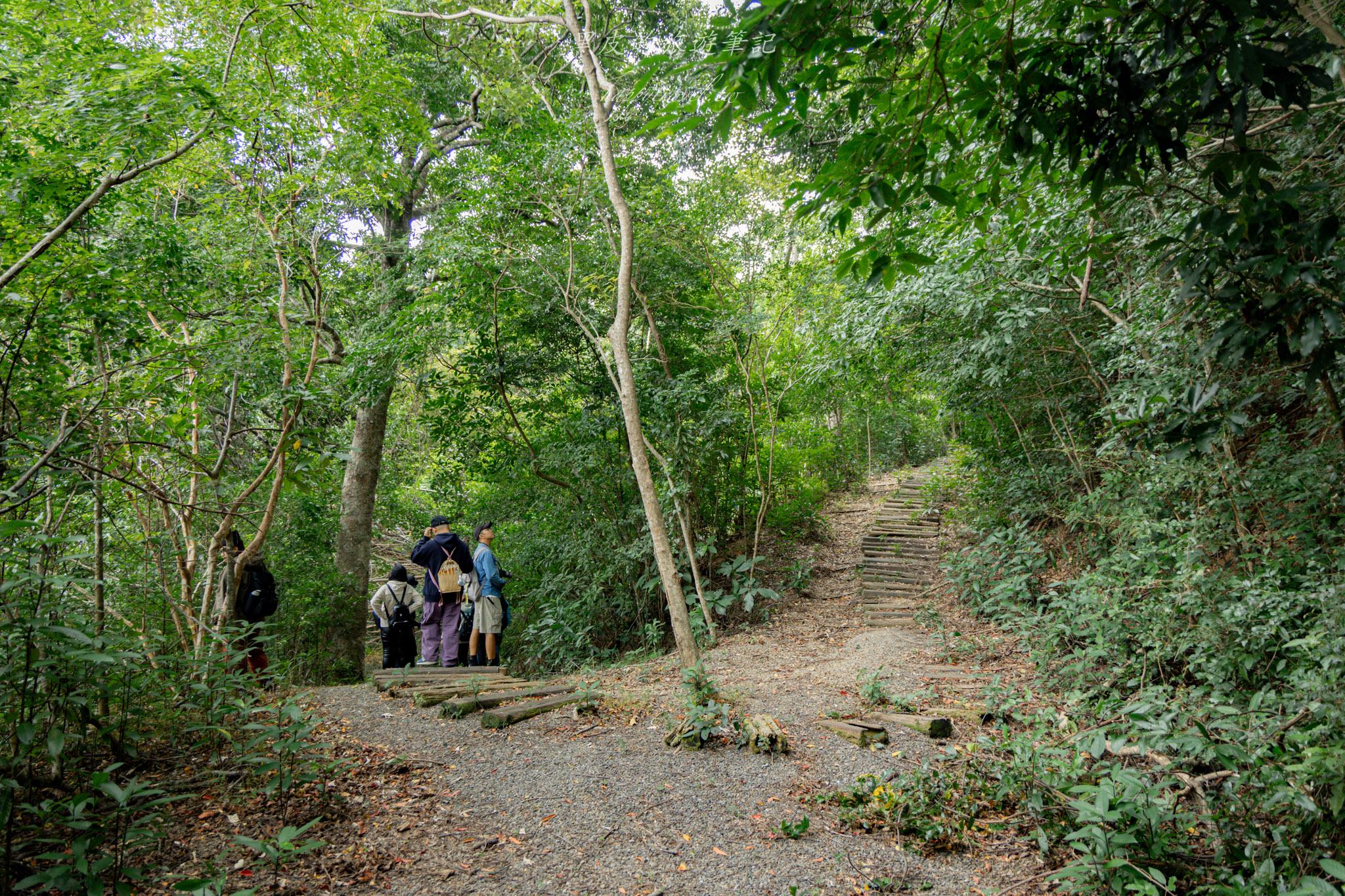台東大武一日遊|走進台東這一片神秘的鄉鎮,千年神榕真的超震撼|大武景點 123 山豬窟休閒農業區