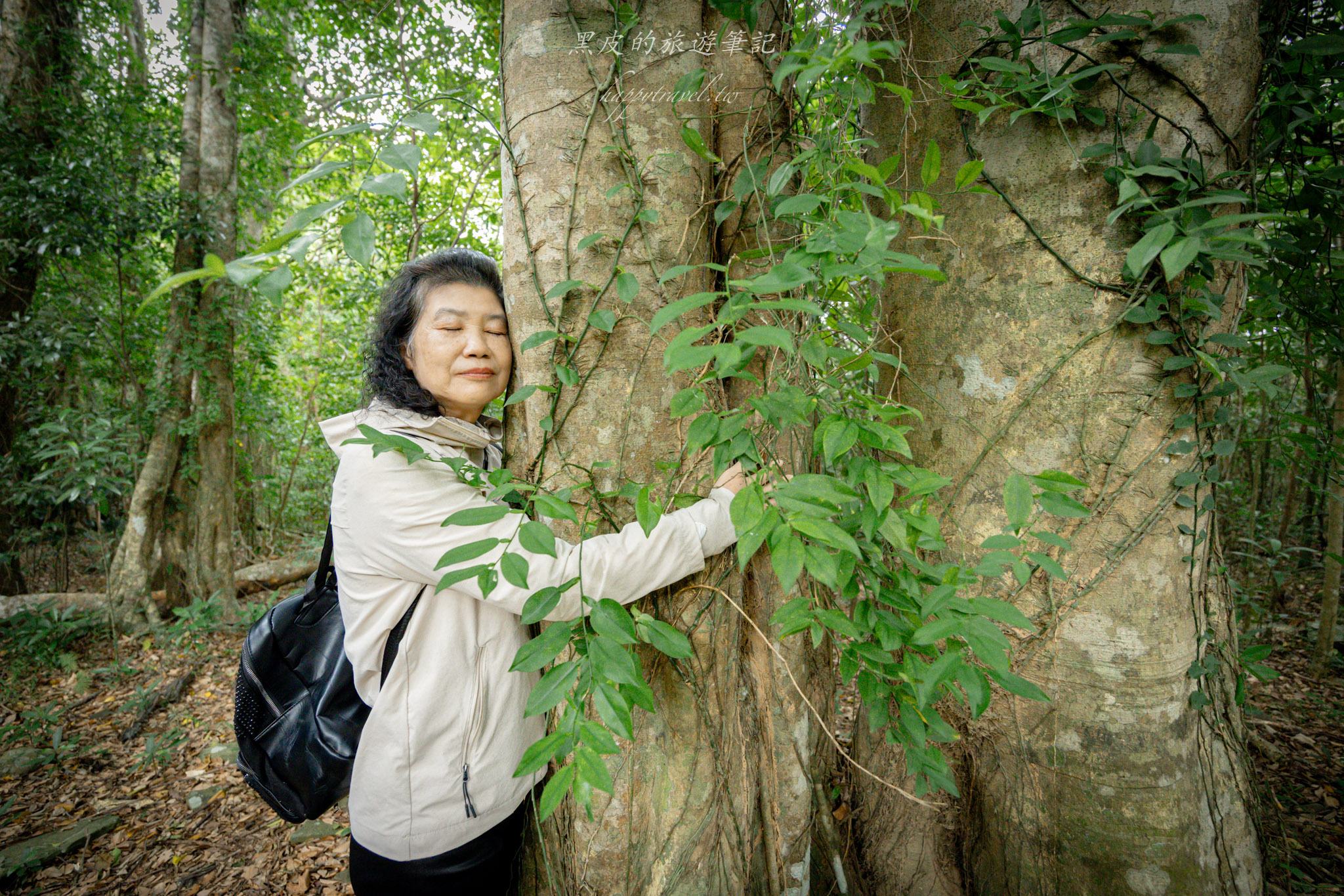 台東大武一日遊|走進台東這一片神秘的鄉鎮,千年神榕真的超震撼|大武景點 128 山豬窟休閒農業區