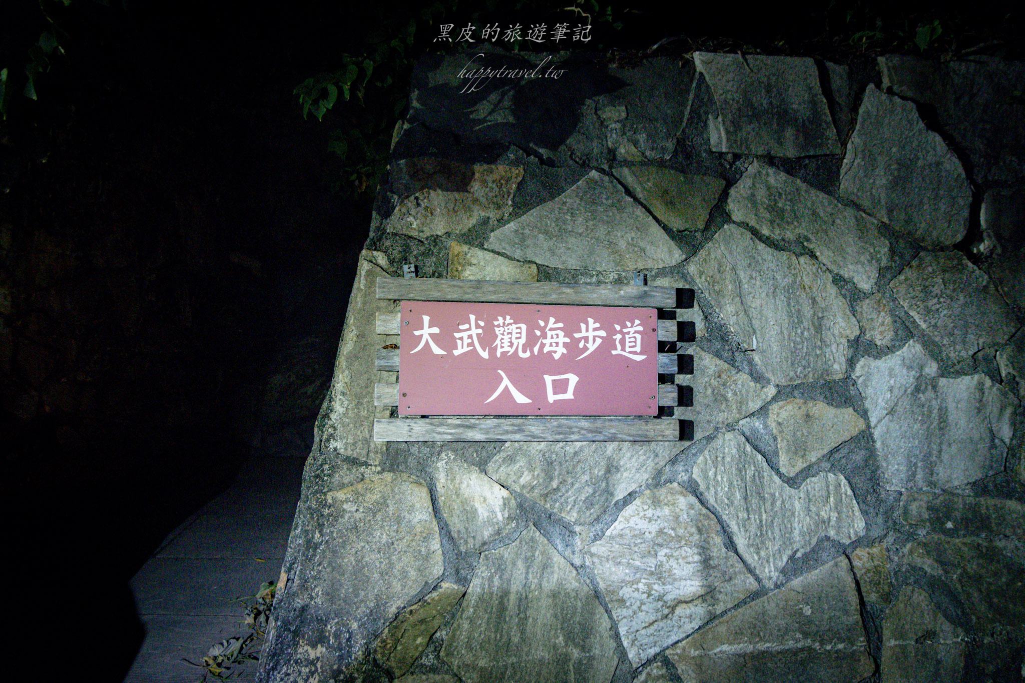 台東大武一日遊|走進台東這一片神秘的鄉鎮,千年神榕真的超震撼|大武景點 159 大武觀海步道