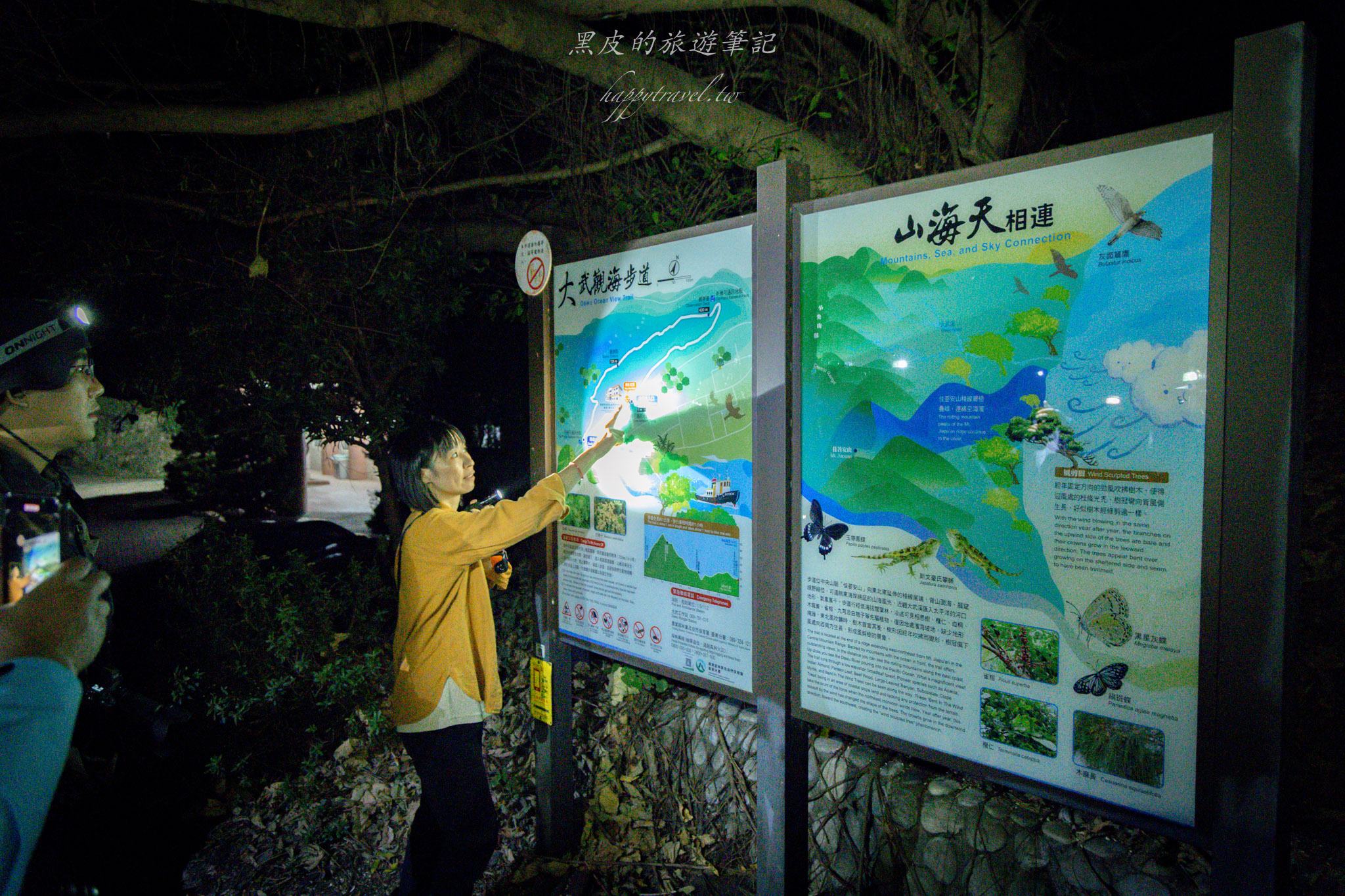 台東大武一日遊|走進台東這一片神秘的鄉鎮,千年神榕真的超震撼|大武景點 152 大武觀海步道