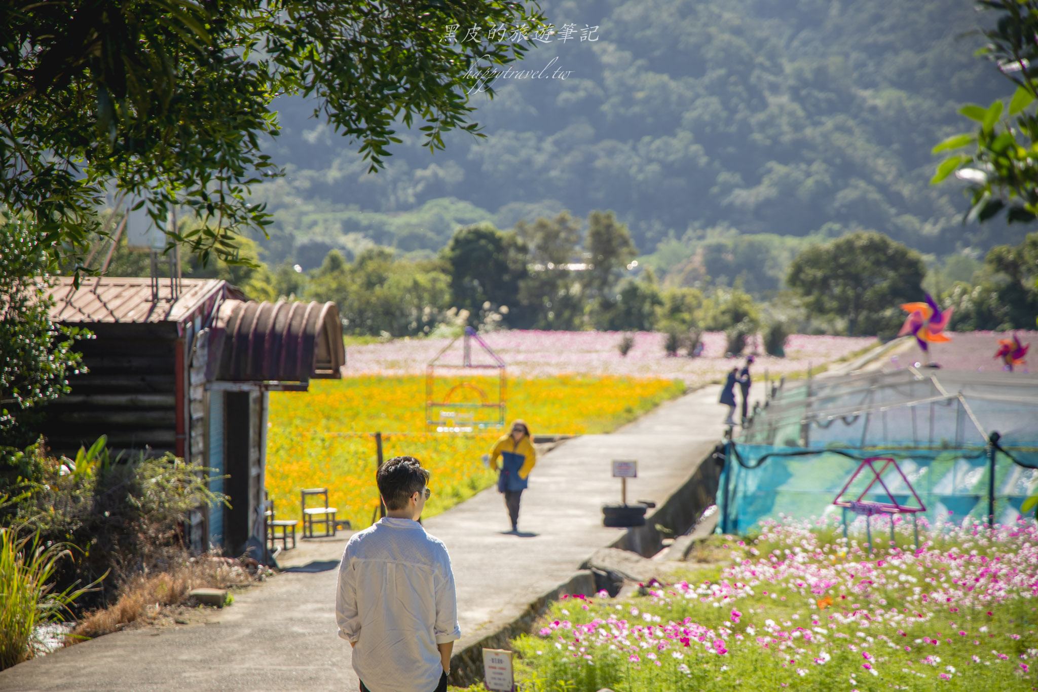 高橋草莓園|關西賞仙草的全新秘境 17 高橋草莓園