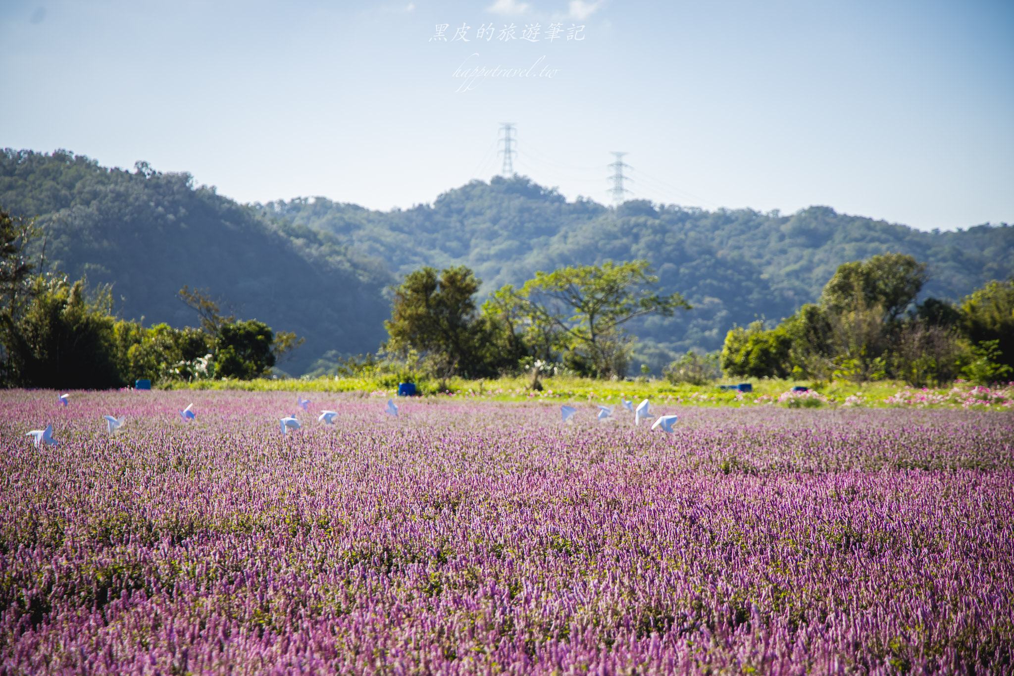 高橋草莓園|關西賞仙草的全新秘境 20 高橋草莓園