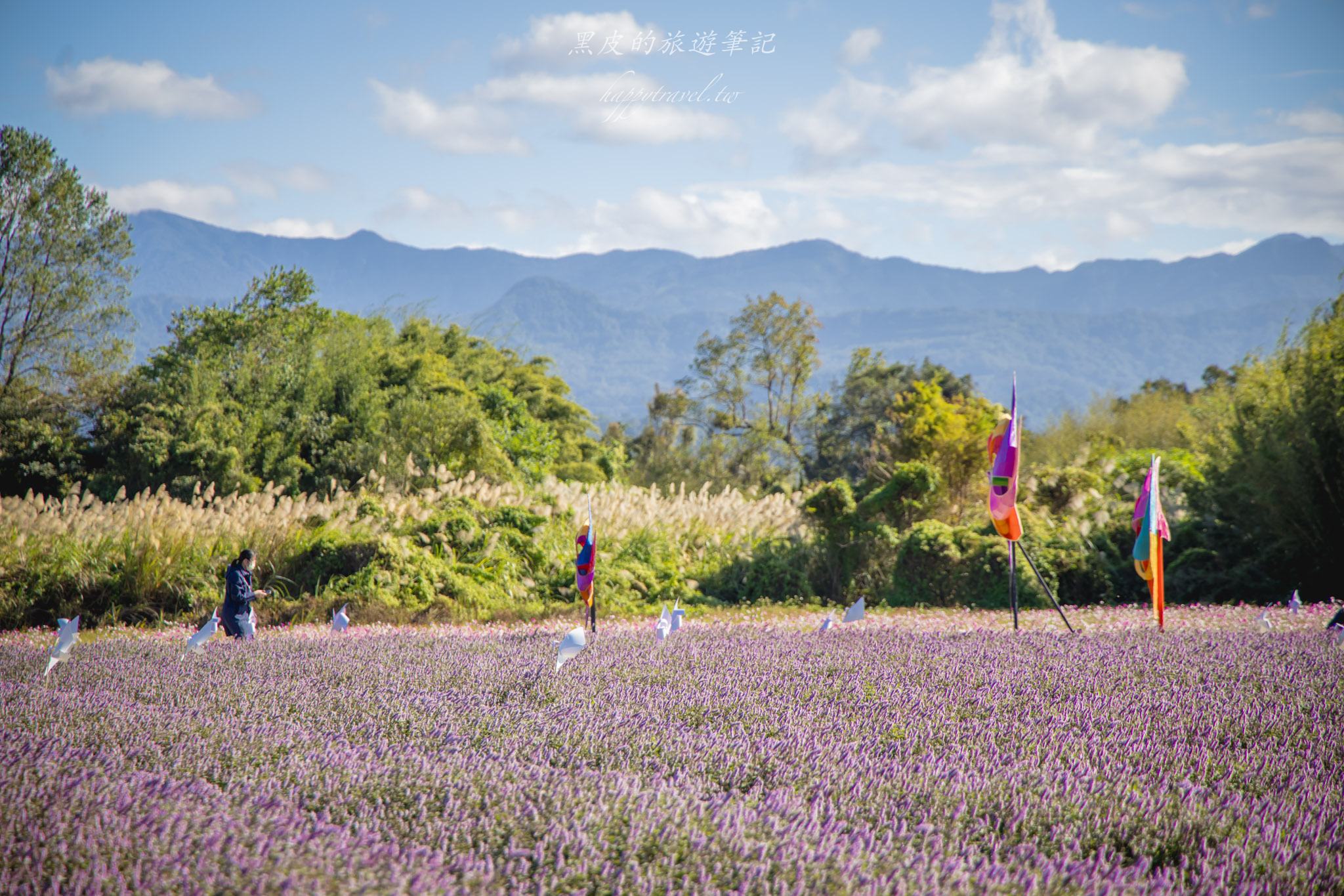 高橋草莓園|關西賞仙草的全新秘境 21 高橋草莓園