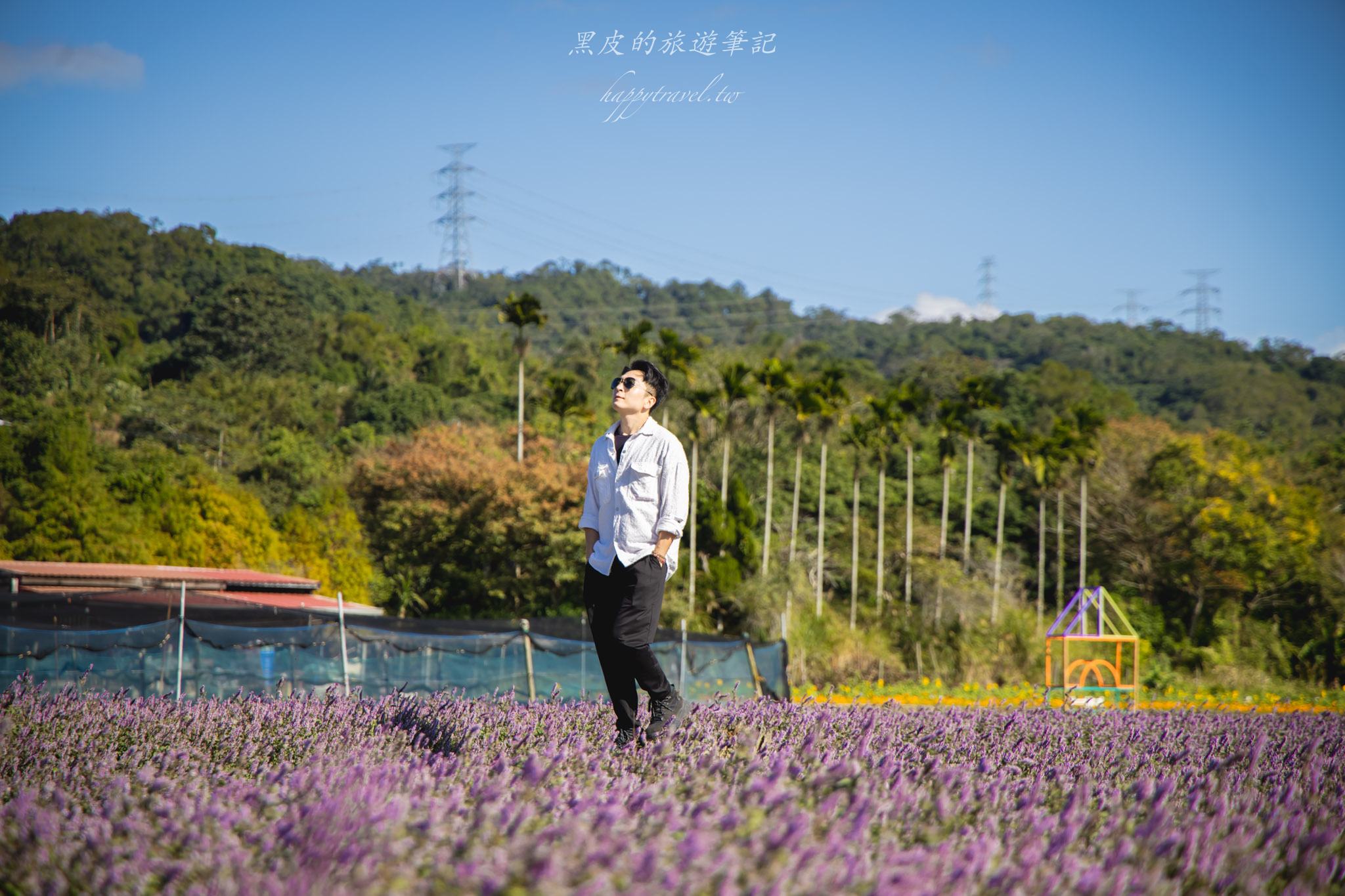 高橋草莓園|關西賞仙草的全新秘境 22 高橋草莓園