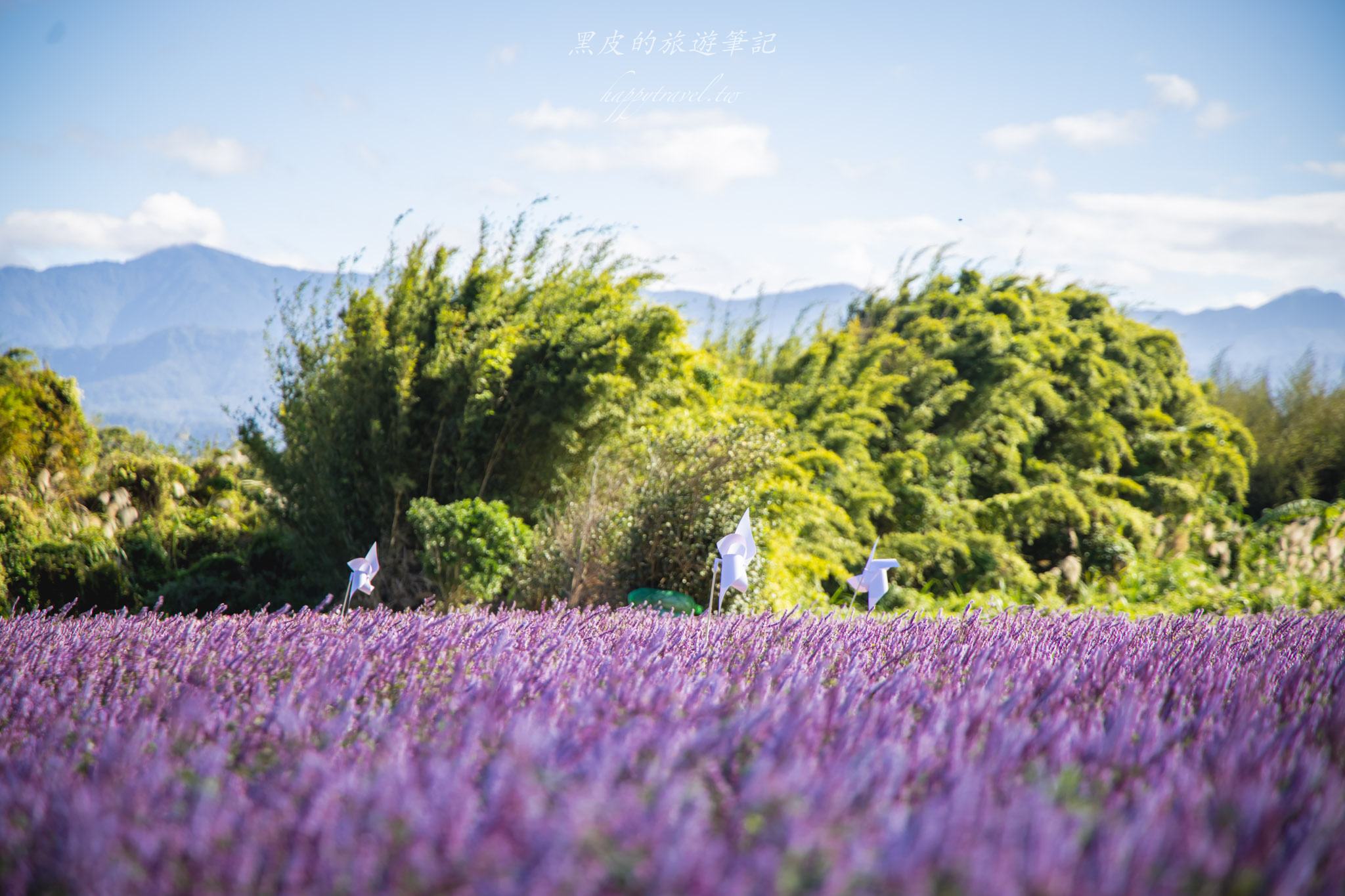 高橋草莓園|關西賞仙草的全新秘境 16 高橋草莓園