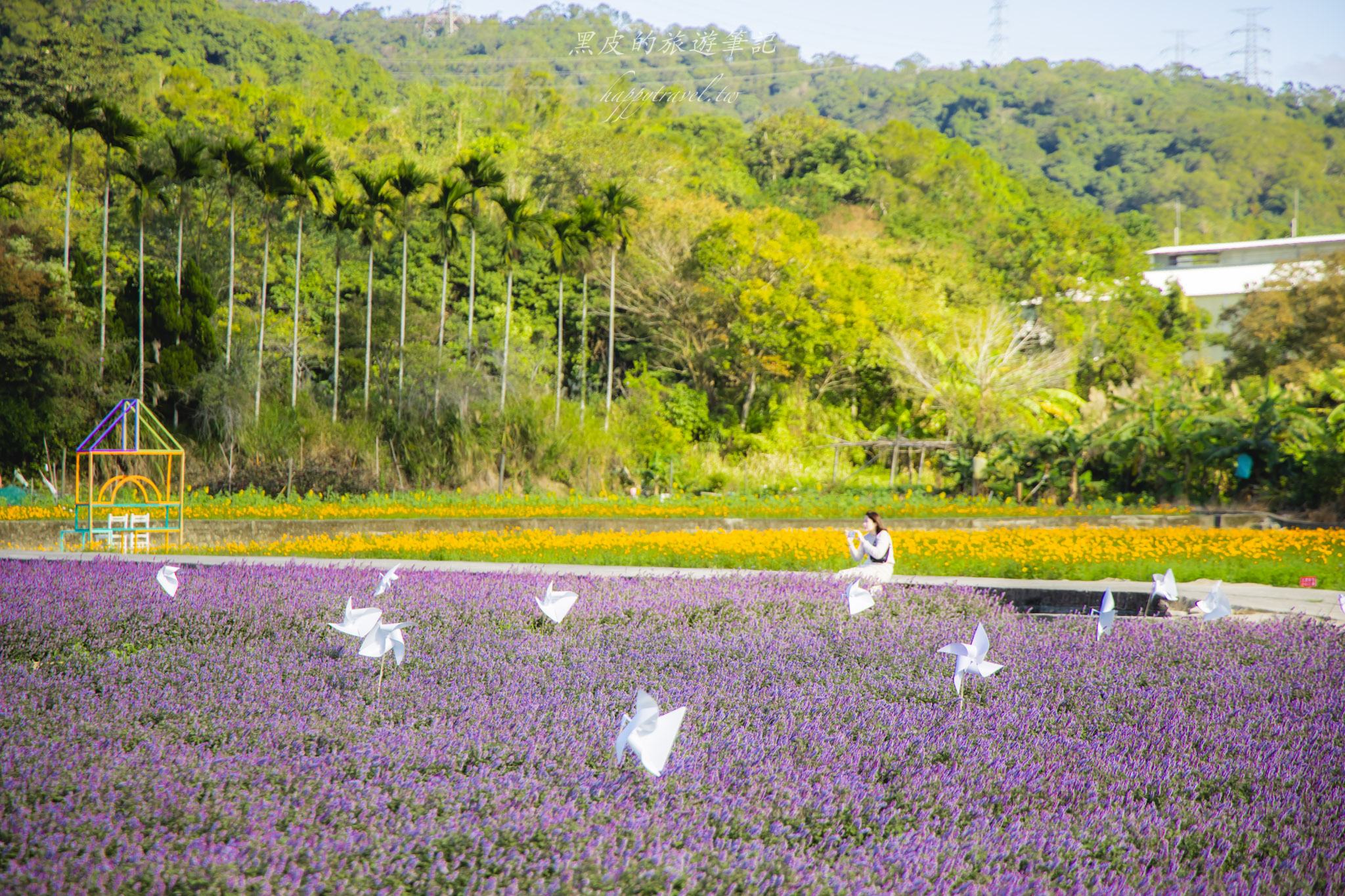 高橋草莓園|關西賞仙草的全新秘境 23 高橋草莓園